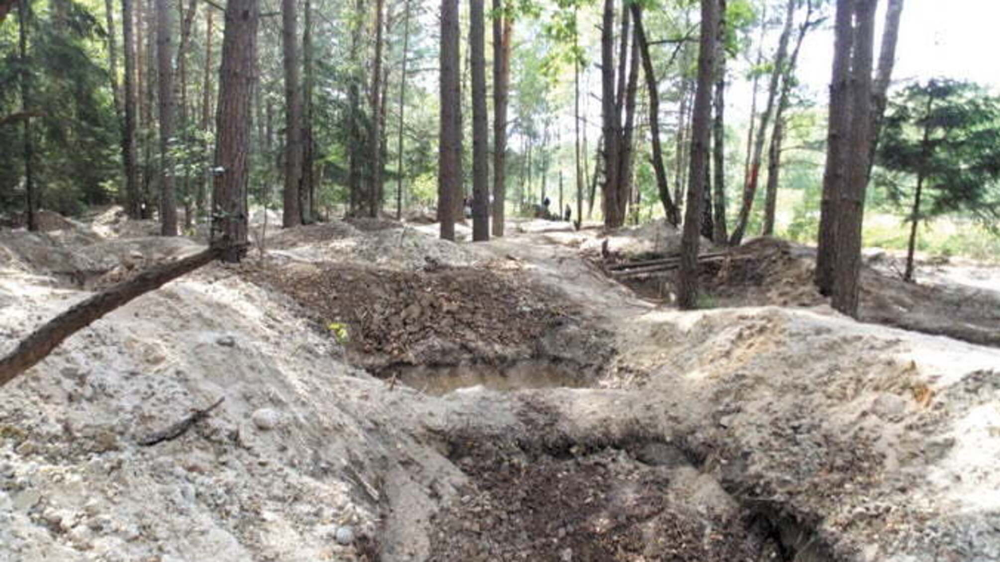 На Житомирщині затримали бригаду бурштиношукачів