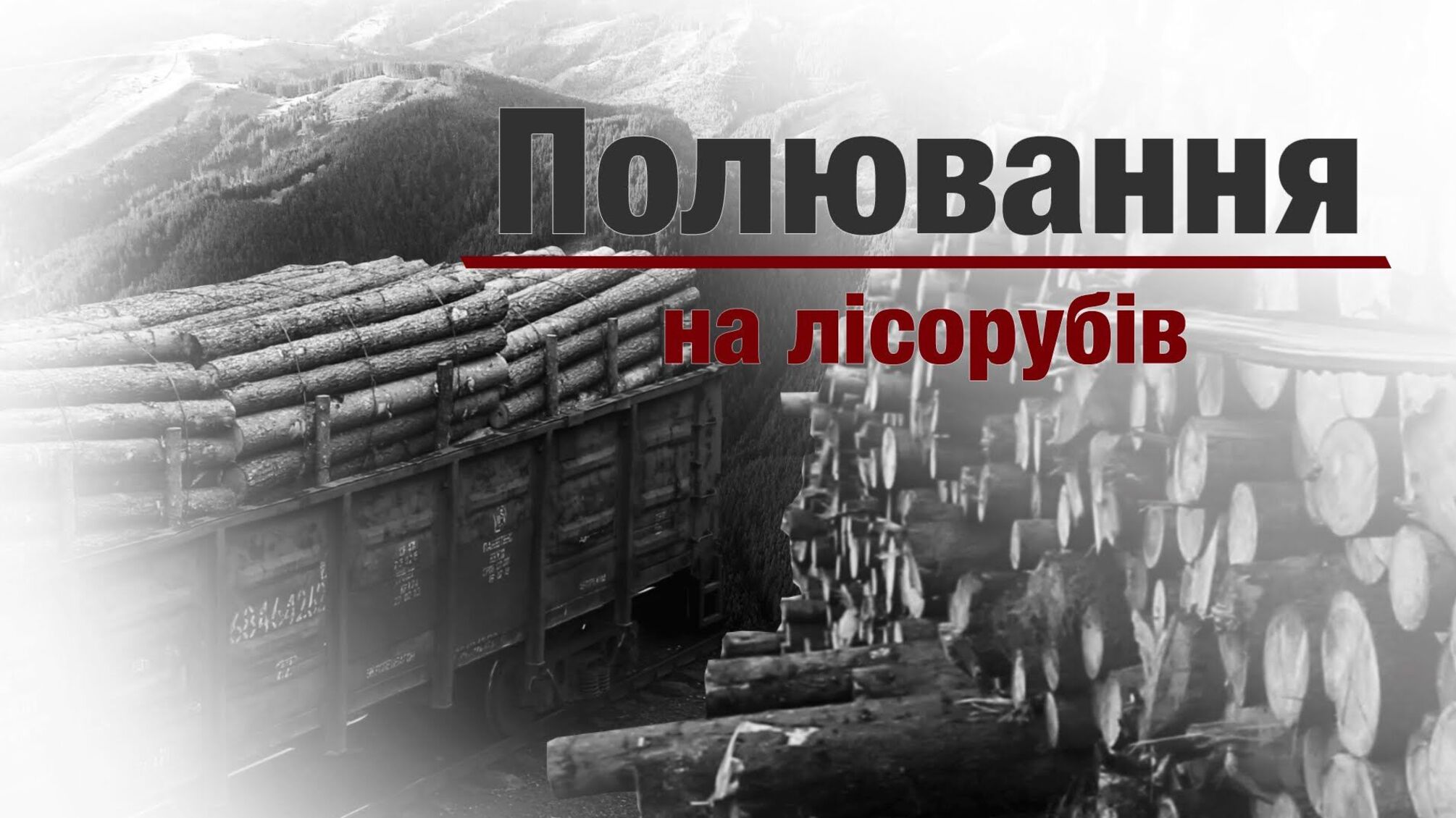 Полювання на лісорубів