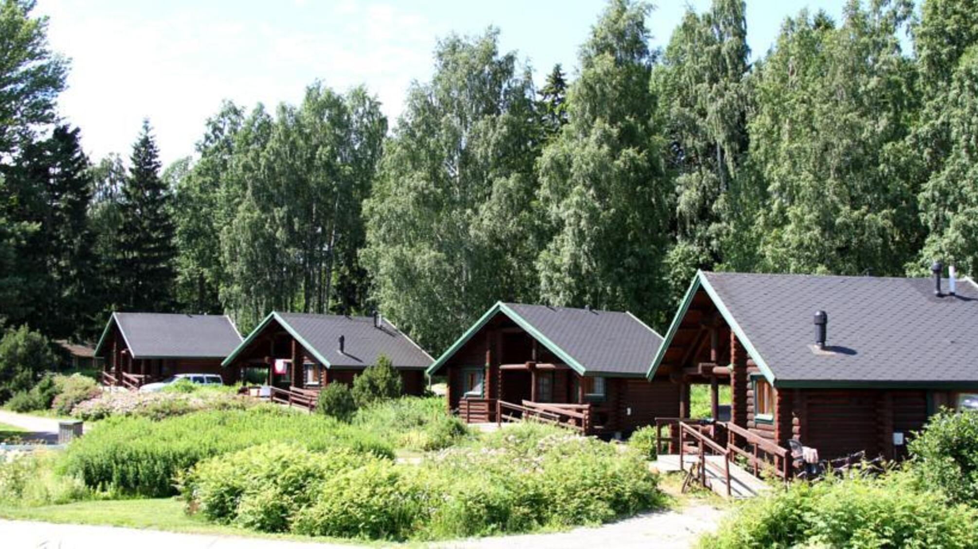 На Київщині ліси перетворили у приватну власність для сучасних феодалів