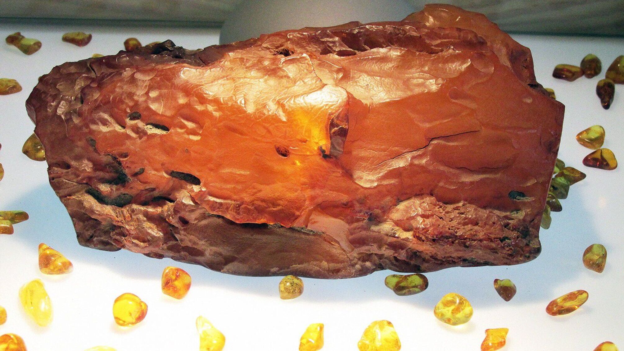 На Житомирщині вилучили унікальний бурштин-сирець вагою понад 1,7 кг