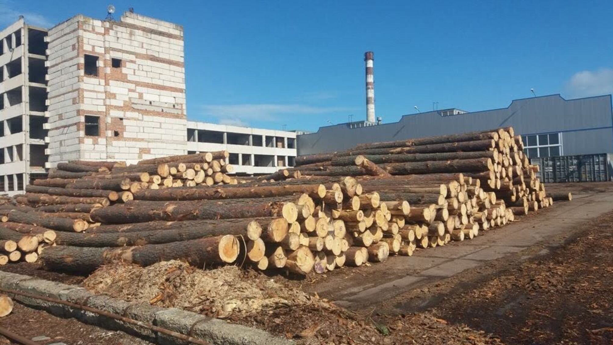 Нелегально вирубаний ліс йшов на фінансування тероризму в псевдореспубліках