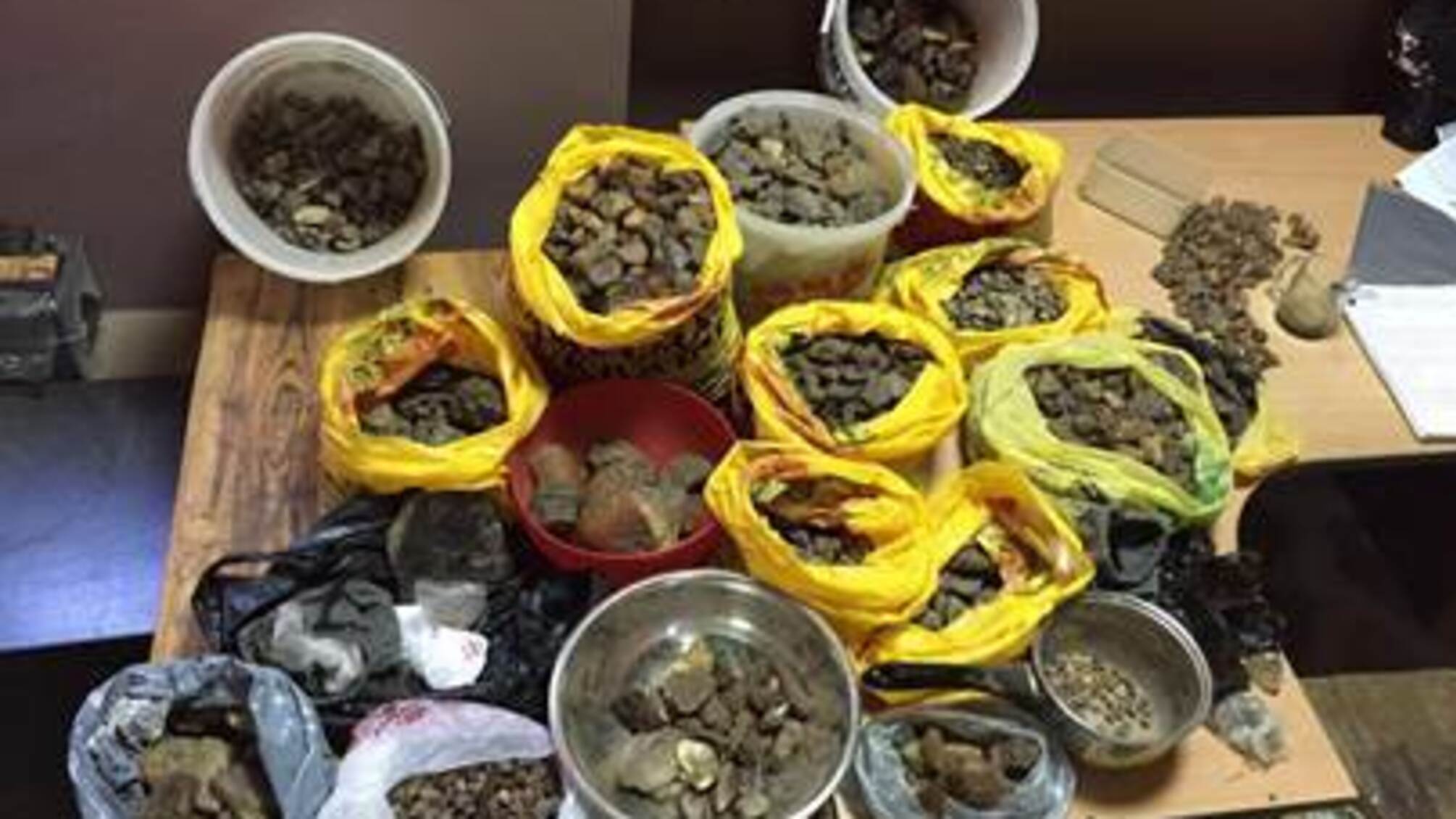 На Київщині у зловмисника вилучили 88 кілограмів незаконно видобутого бурштину