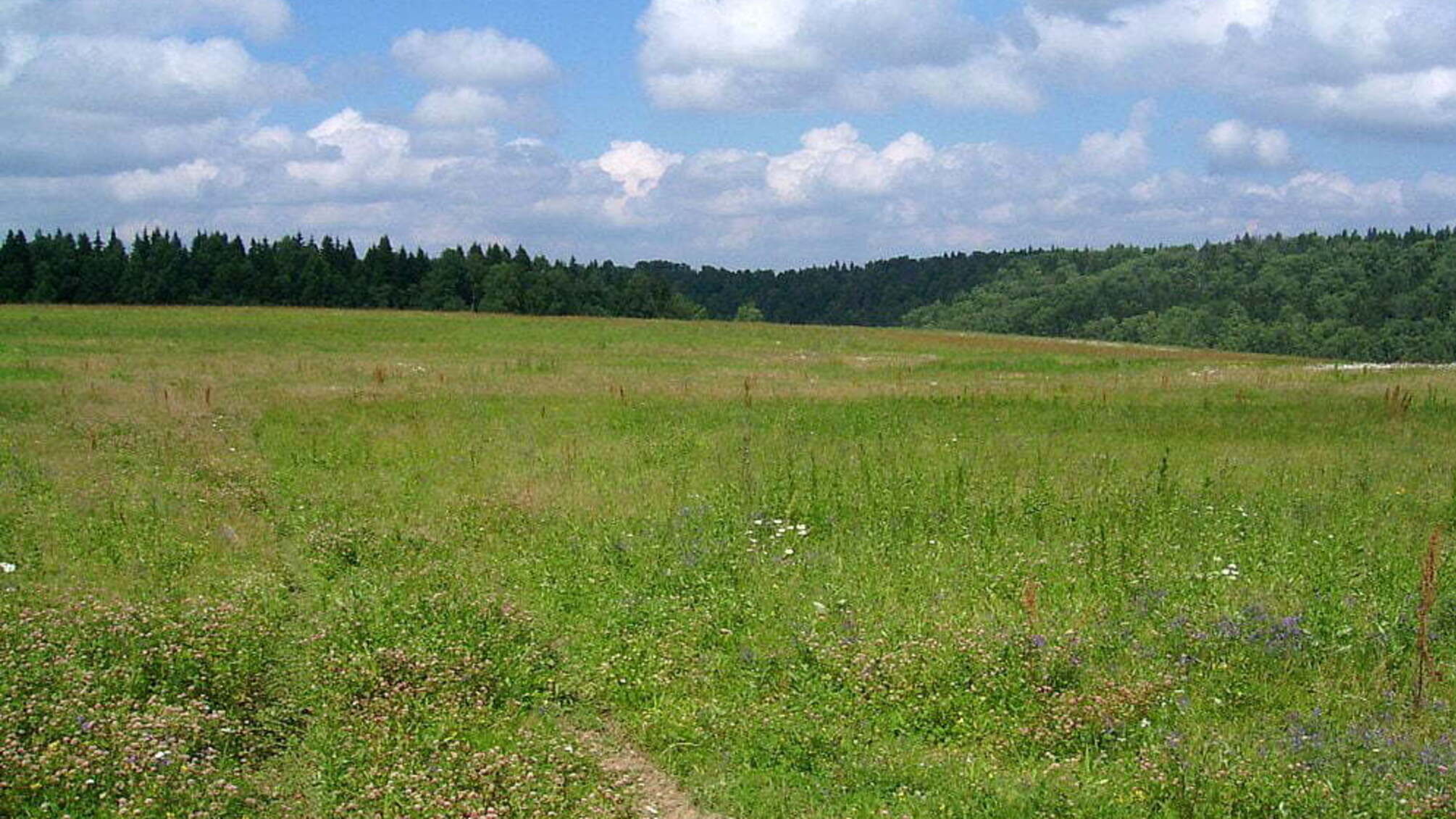 На Хмельниччині двоє посадовців організували реєстрацію земельних угод за систематичні хабарі