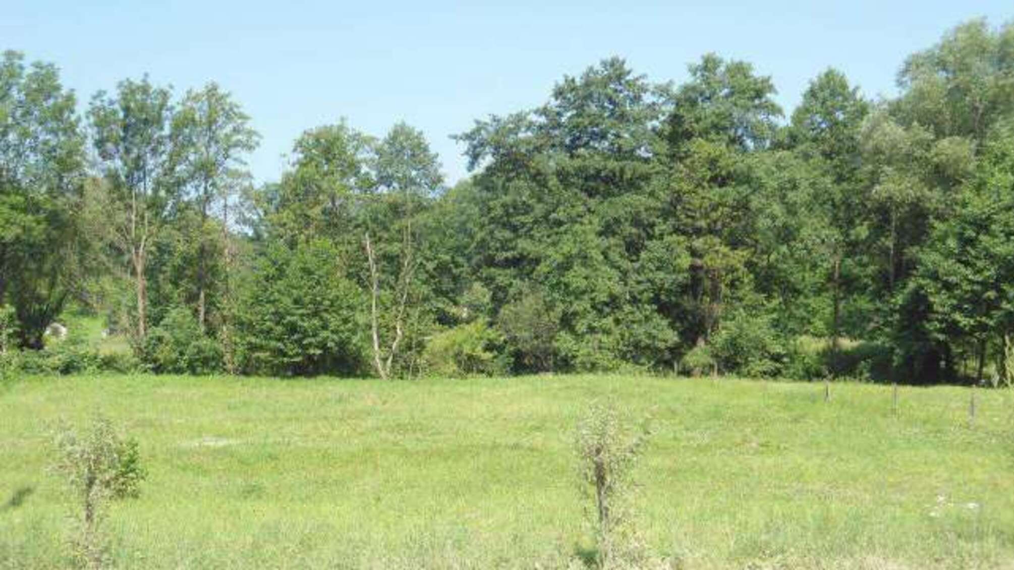 500 гектарів землі відсудили в іноземця на Хмельниччині