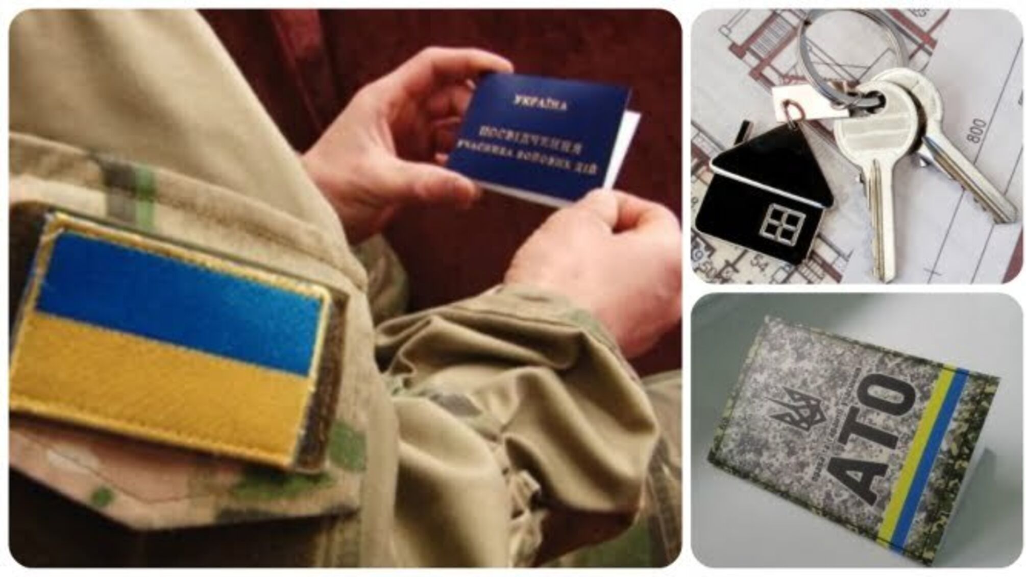 Злочинці з Київщини пообіцяли бійцю АТО квартиру за хабар у 2,5 тис. дол.