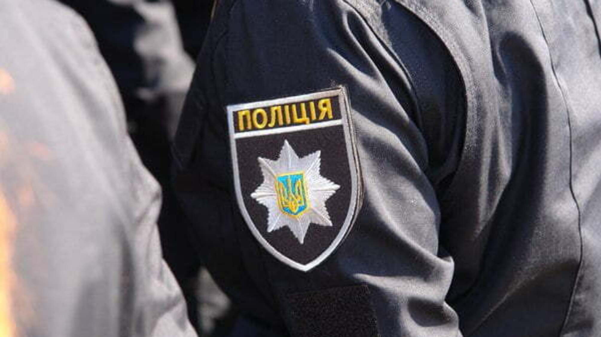На Житомирщині поліцейський 'кришував' незаконну вирубку лісу
