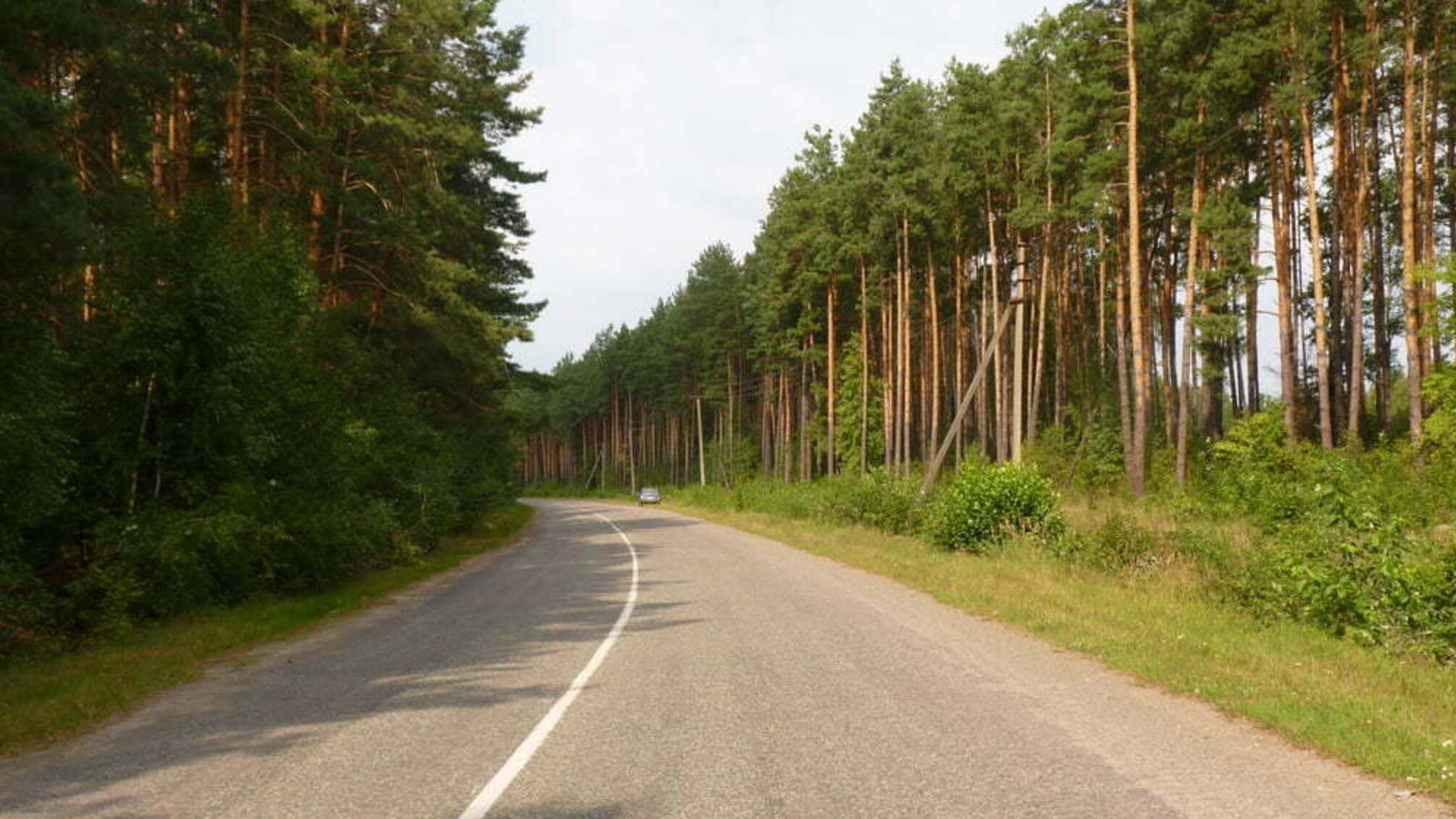 У мерів Бучі та Ірпеня проводять обшуки через дерибан лісу на Київщині
