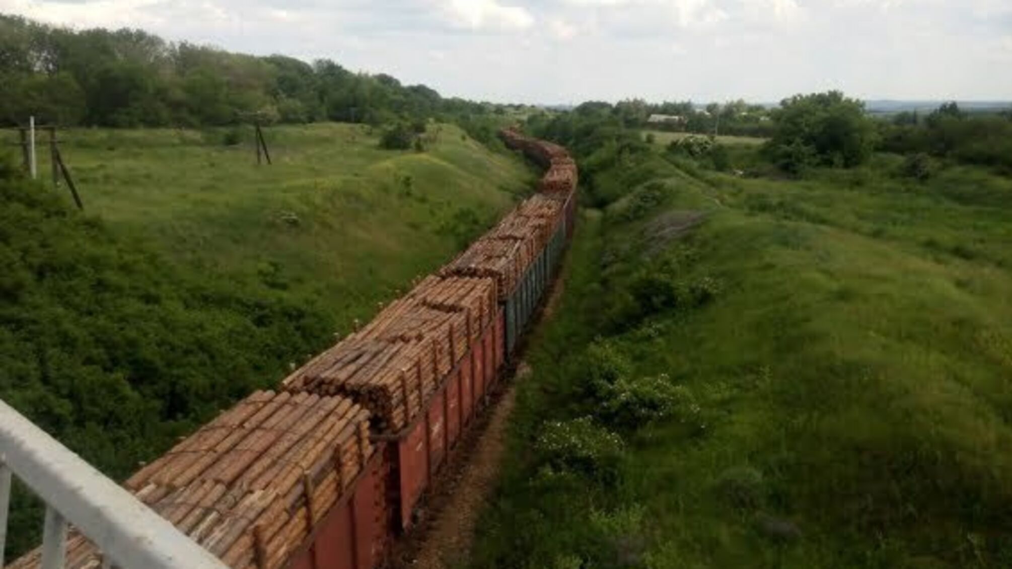 На Закарпатті арештували 28 вагонів із українським лісом, готовим для вивезення за кордон