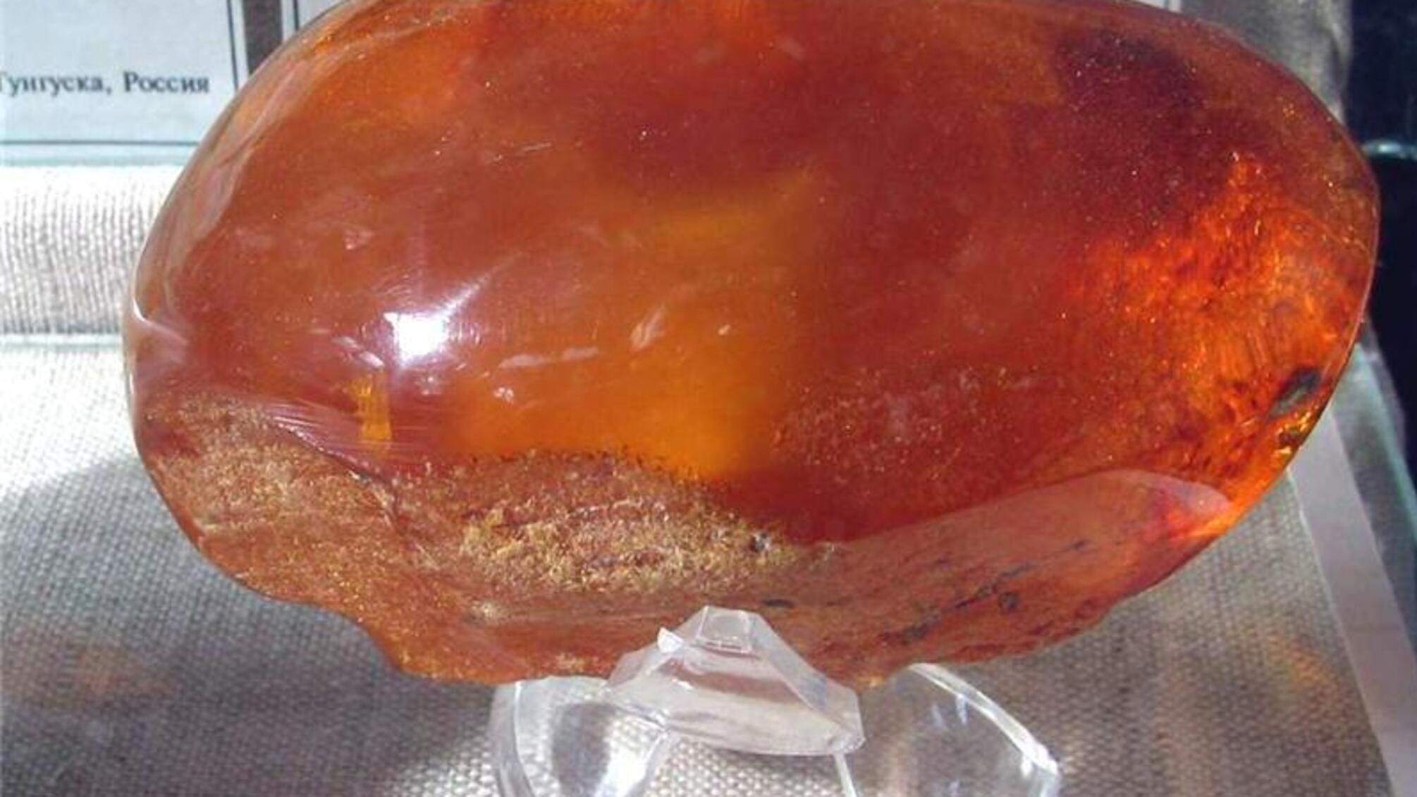 Бурштинова лихоманка: як на 'сонячному камінні' заробляють у Європі