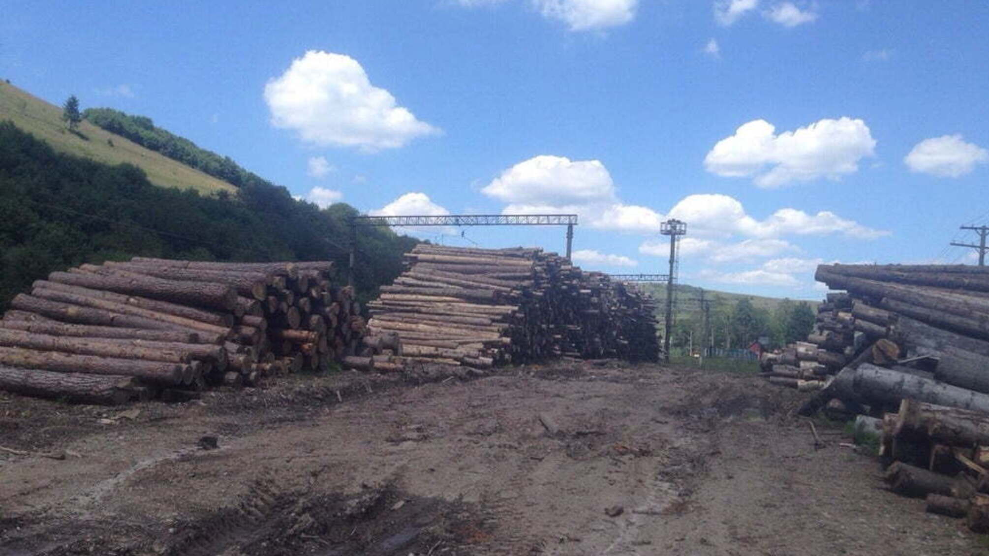 Через контрабанду деревини на Закарпатті слідчі кілька годин обшукували кабінет першого заступника глави ДПСУ