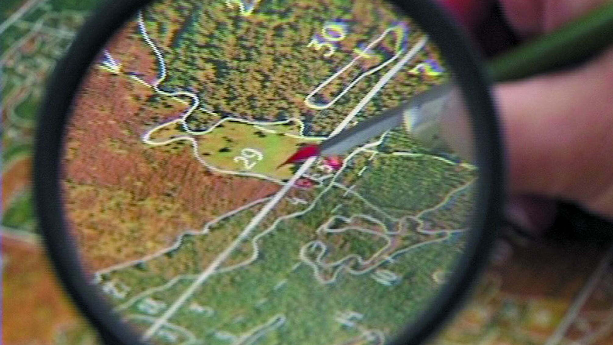 Кар'єра на погрозах: як профспілковий лідер шантажував керівництво Держгеокадастру