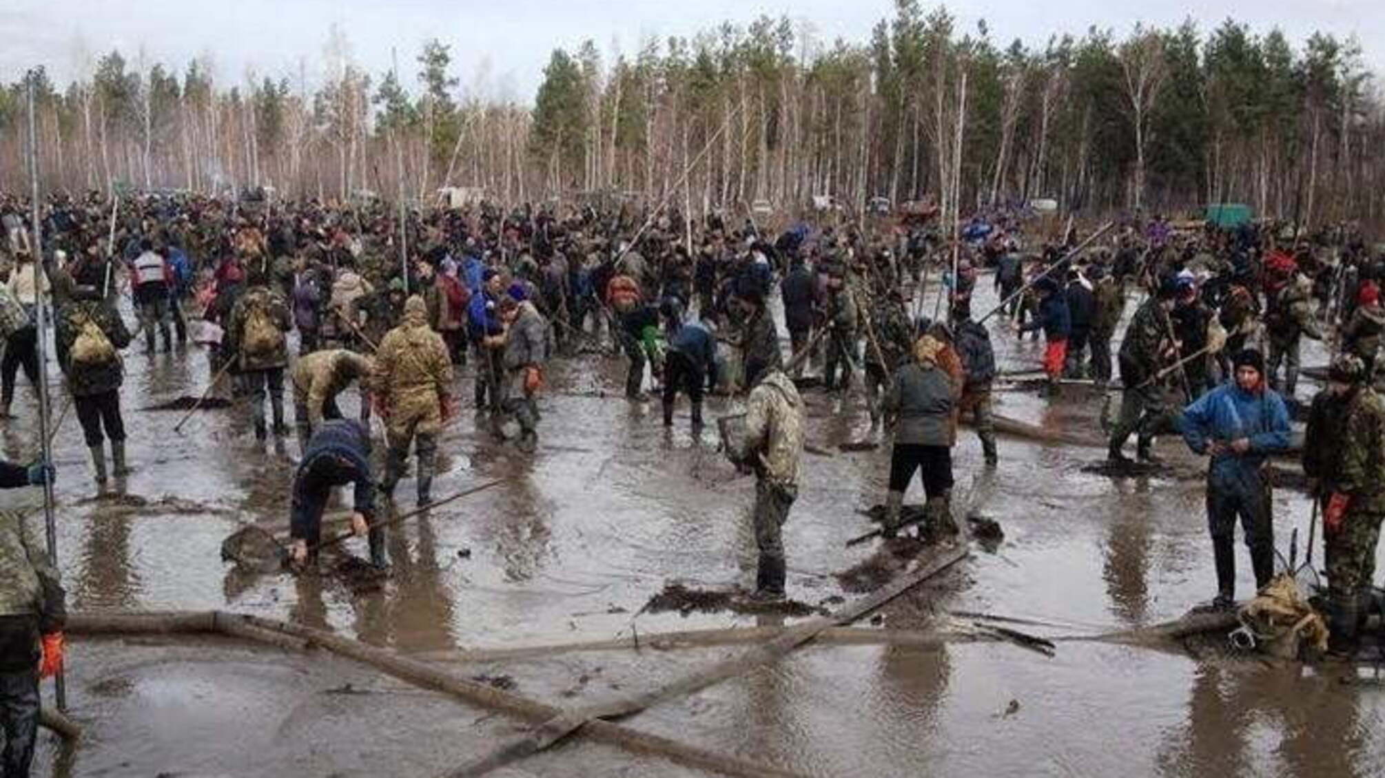 Чому на Поліссі ведеться марна боротьба з копачами бурштину