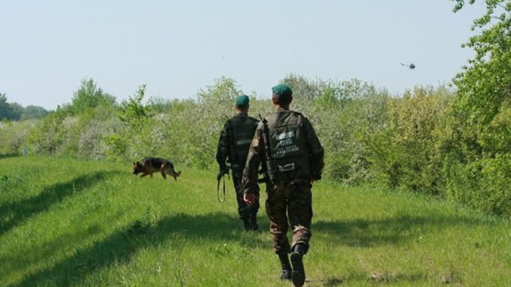 На Закарпатті угорець намагався підкупити українських прикордонників