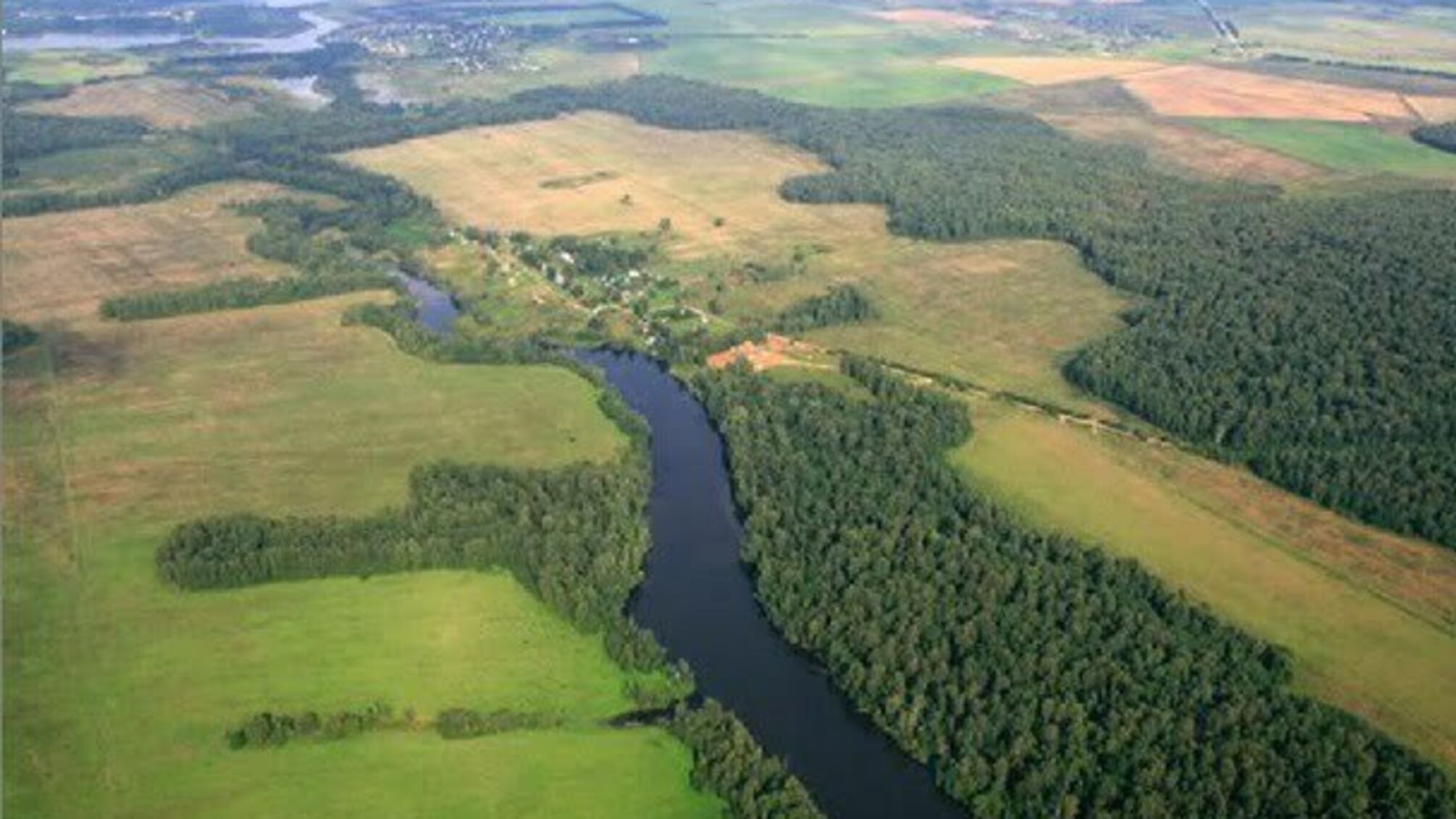 Через махінації сільського голови село на Київщині залишилося без землі