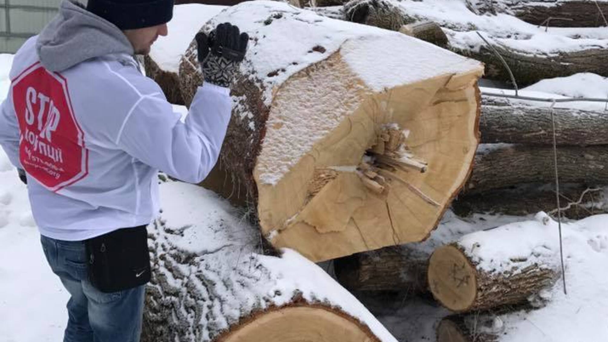 На приватній пилорамі керівника державного лісгоспу знайшли цінну деревину