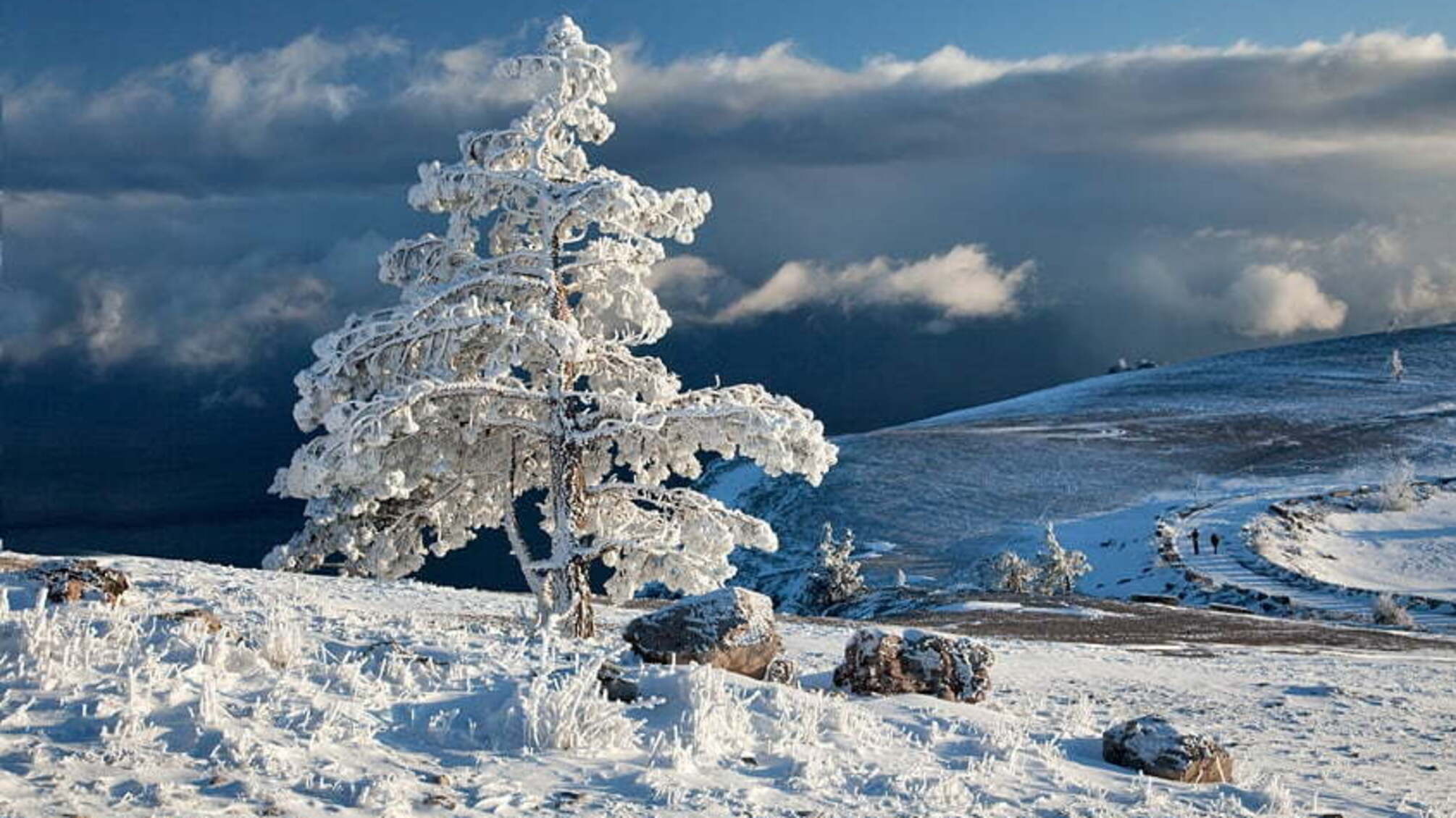 У Криму неможливо створити гірськолижний курорт – Стрельбицький