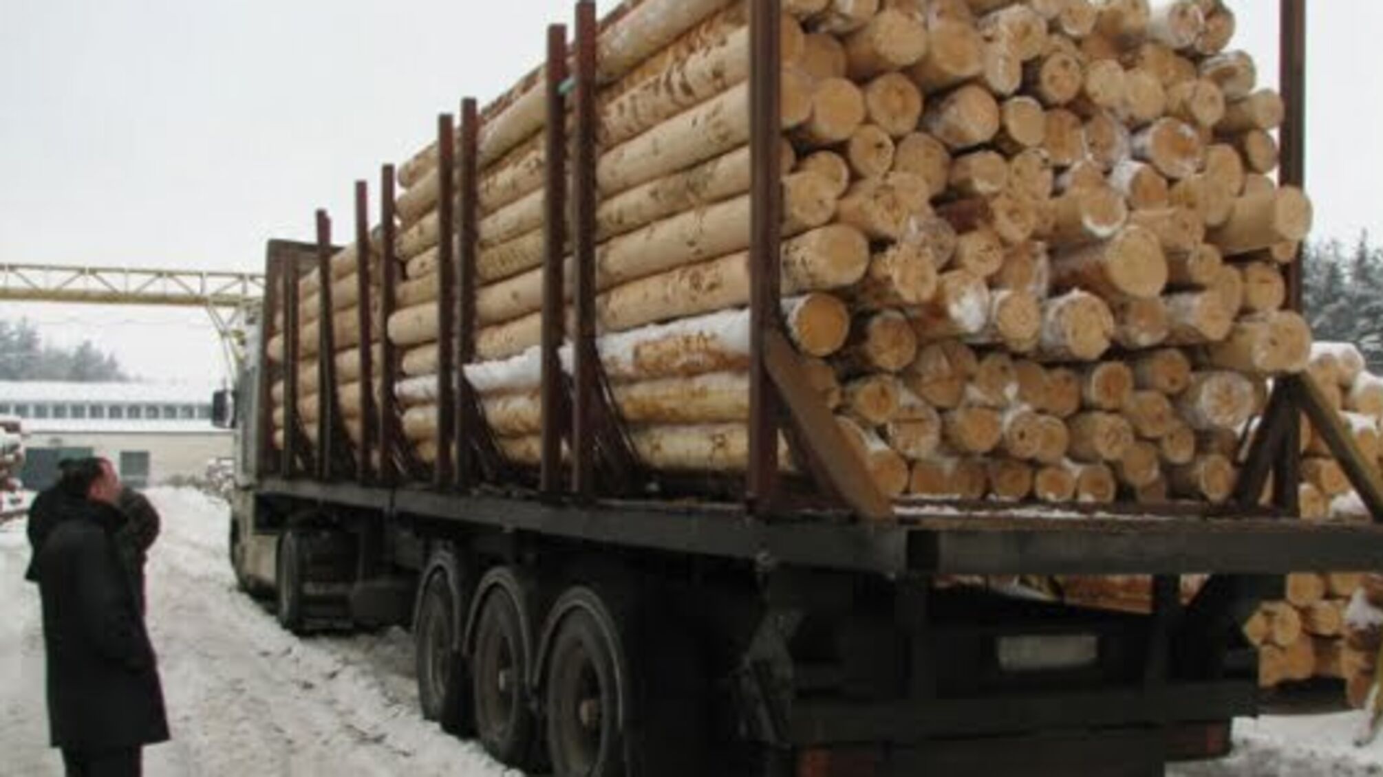 На Хмельниччині запобігли незаконному вивезенню лісу до ЄС