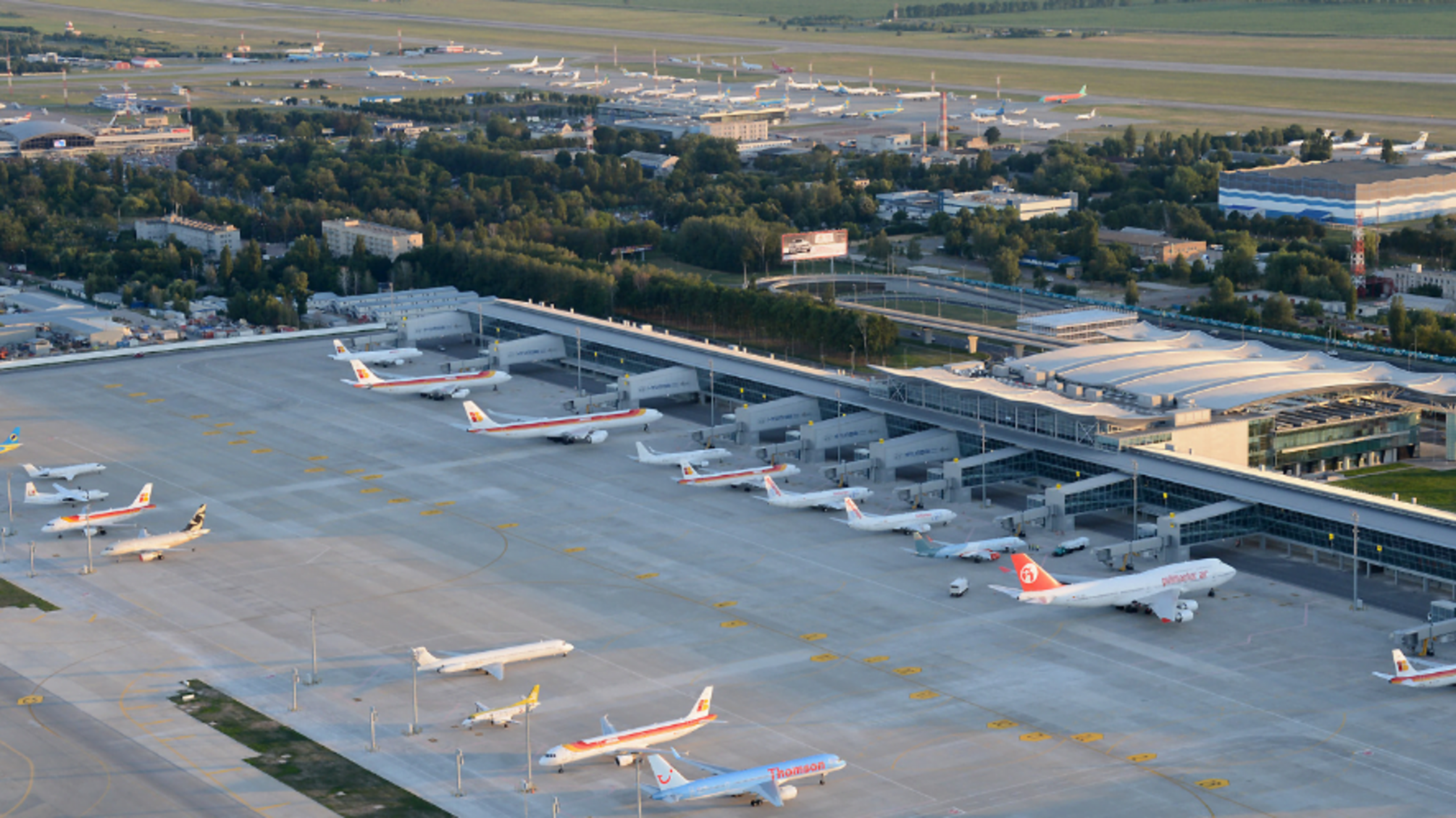 'СтопКор' звернувся до керівництва аеропорту 'Бориспіль' через сміттєвий полігон поруч зі злітно-посадковою смугою летовища