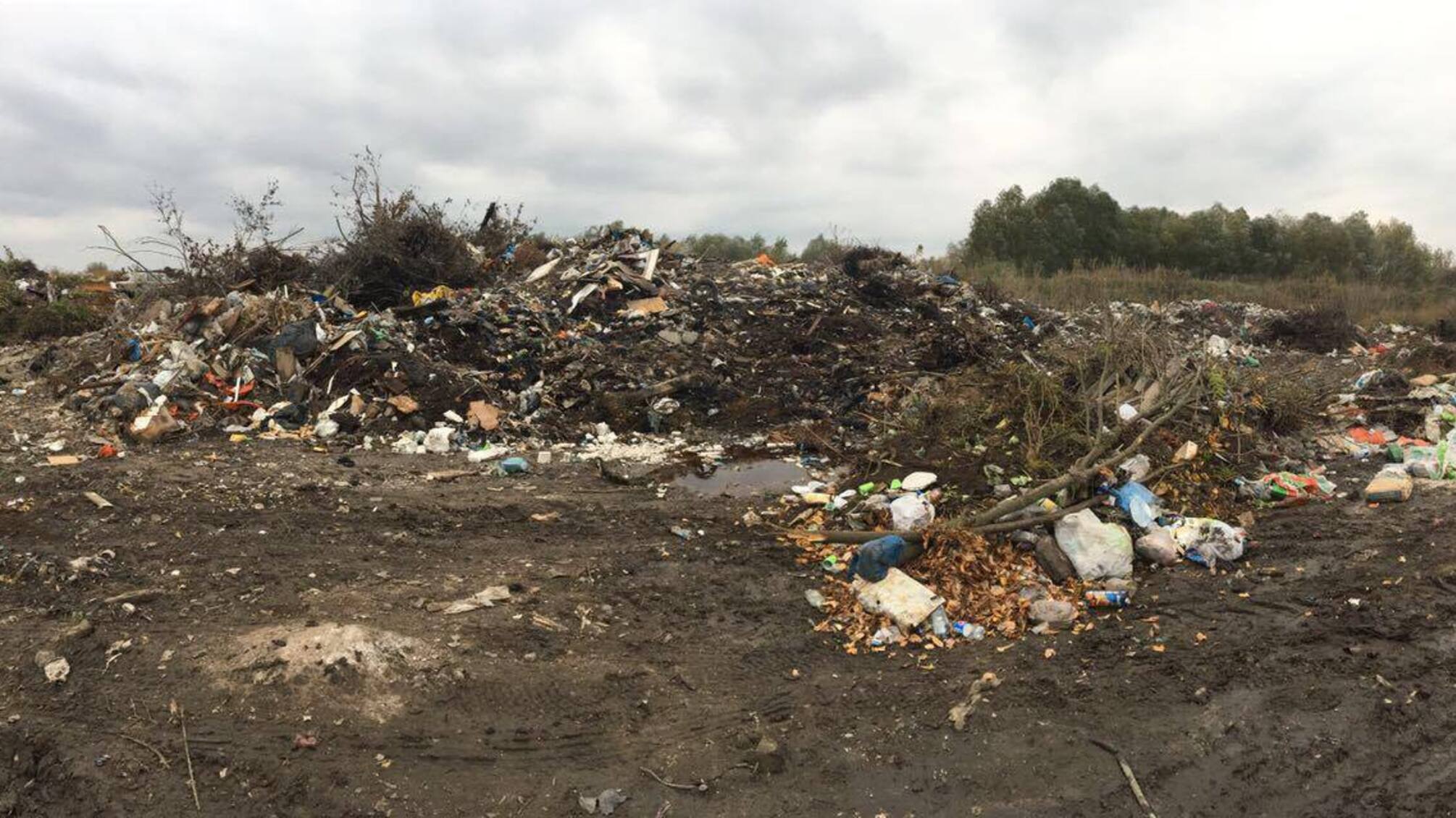 'СтопКор' знайшов так званого директора несанкціонованого сміттєзвалища поруч з аеропортом 'Бориспіль'