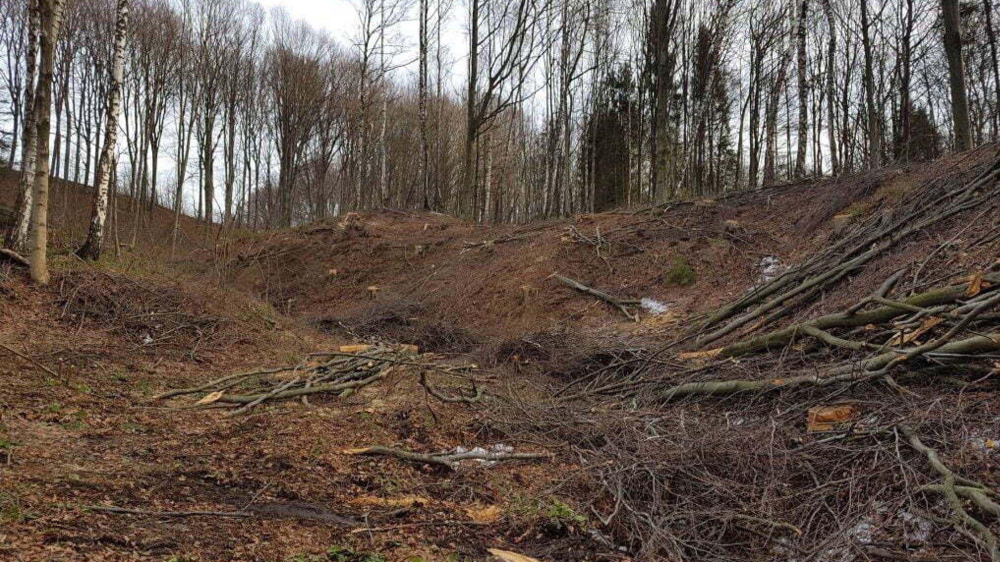 На Буковині 'СтопКор' викрив фальсифікацію доказів у справі про замах на життя місцевого борця з контрабандою лісу