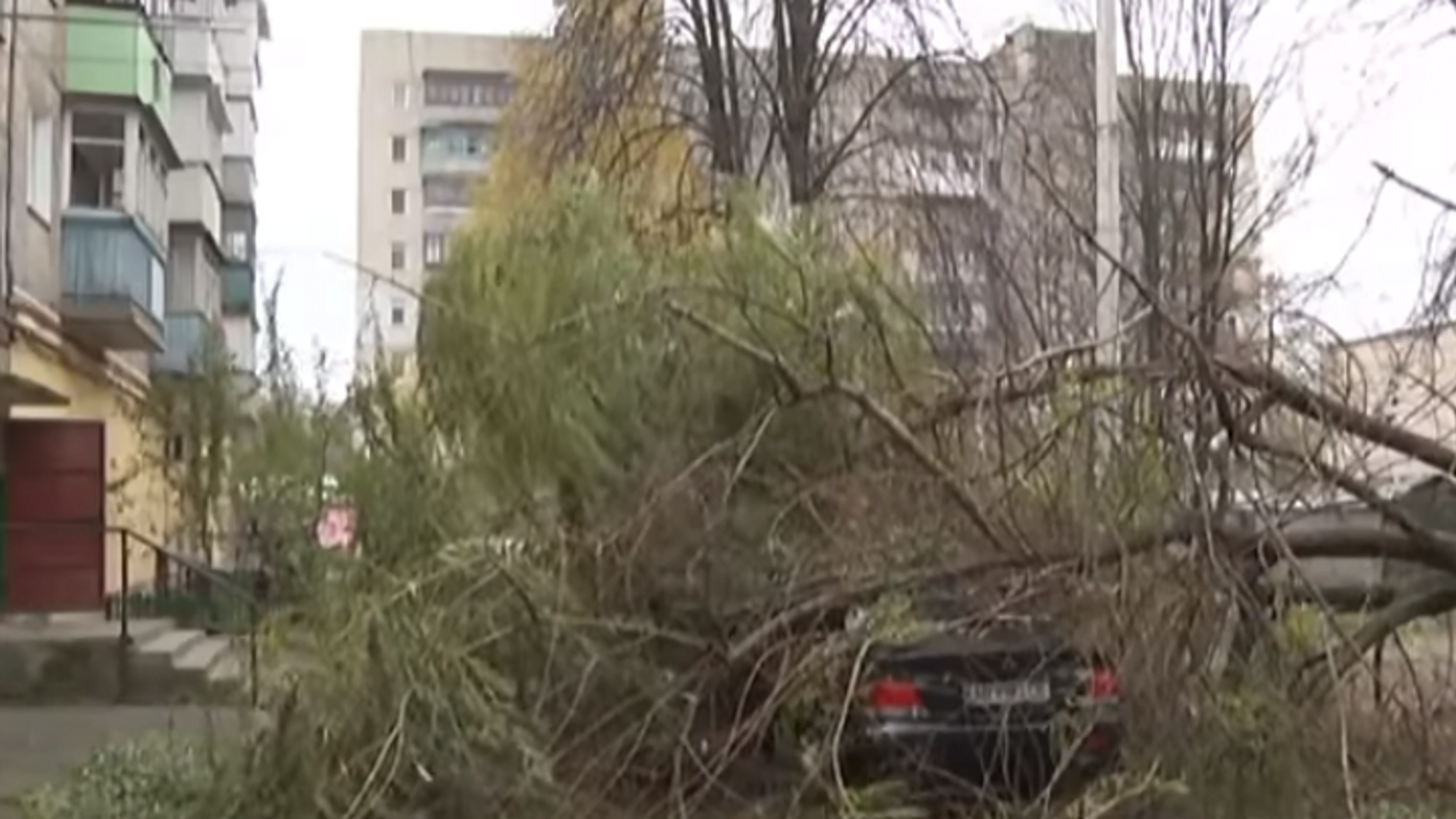 У Вінниці сильний вітер здув три зупинки і повалив дерева: дивитися кадри з місця подій