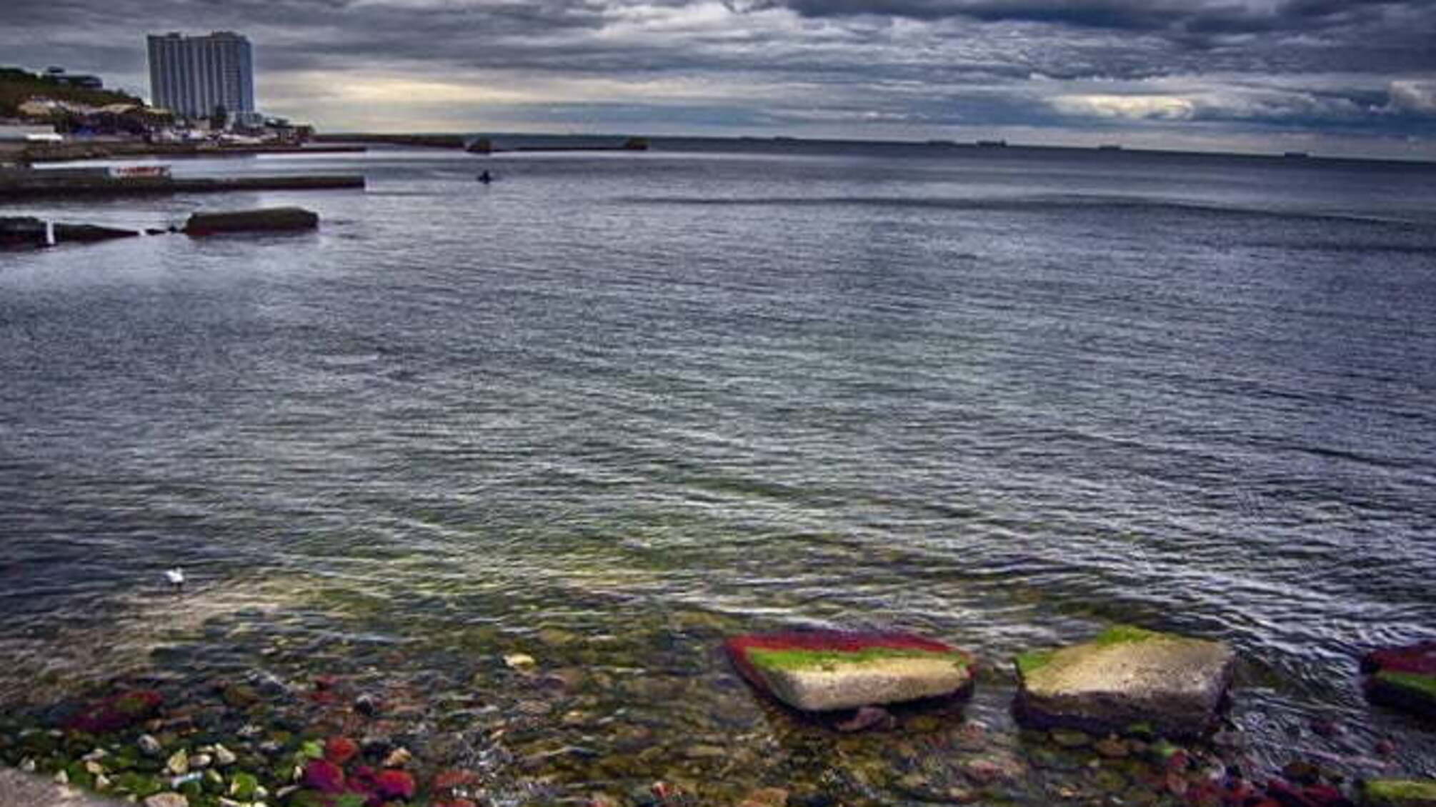 Одеське узбережжя вкрили червоні водорості – екологи б'ють на сполох