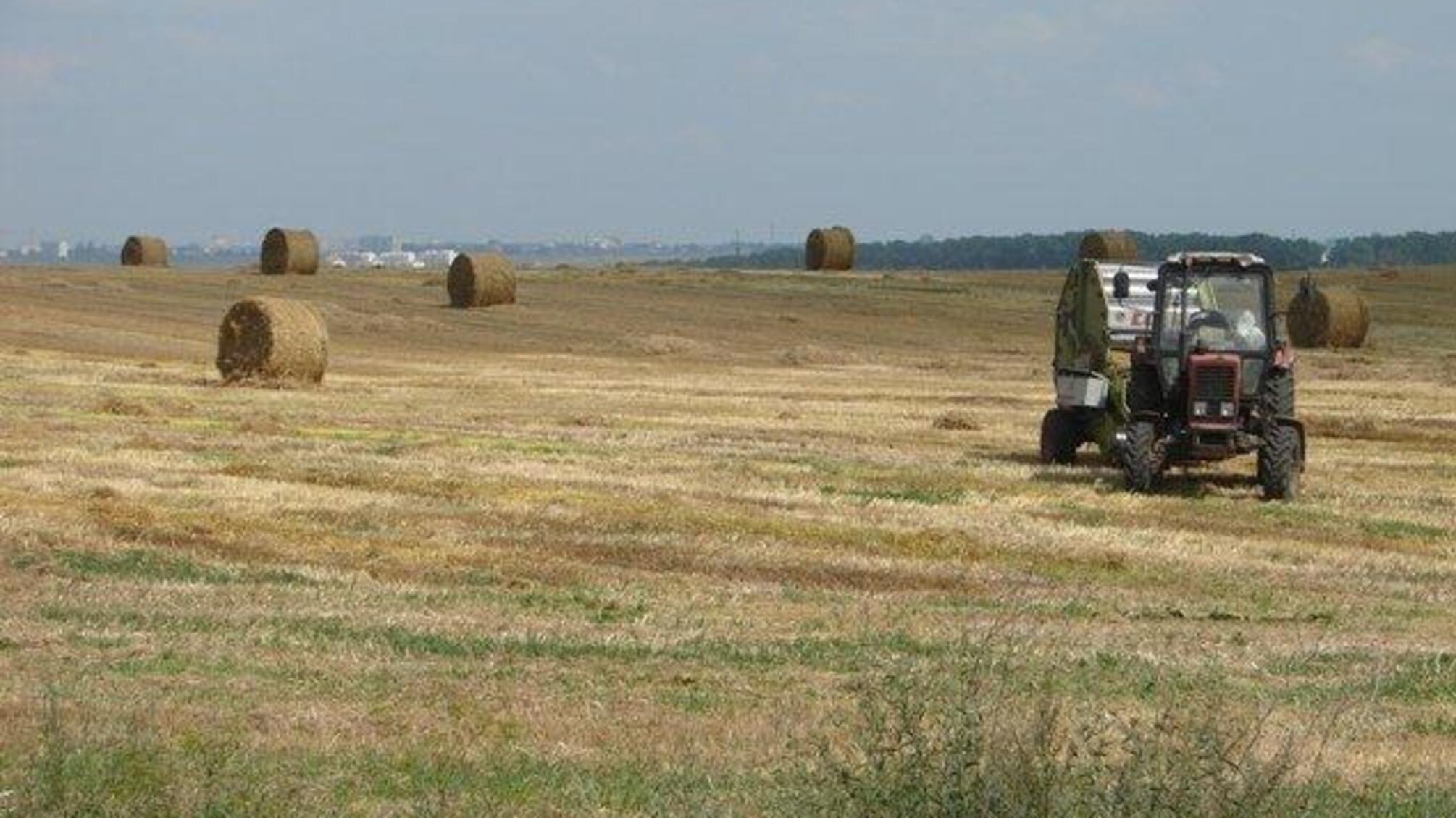 'СтопКор' дізнався, як рейдери на Кіровоградщині через суди змушують пайовиків продовжувати договори оренди землі
