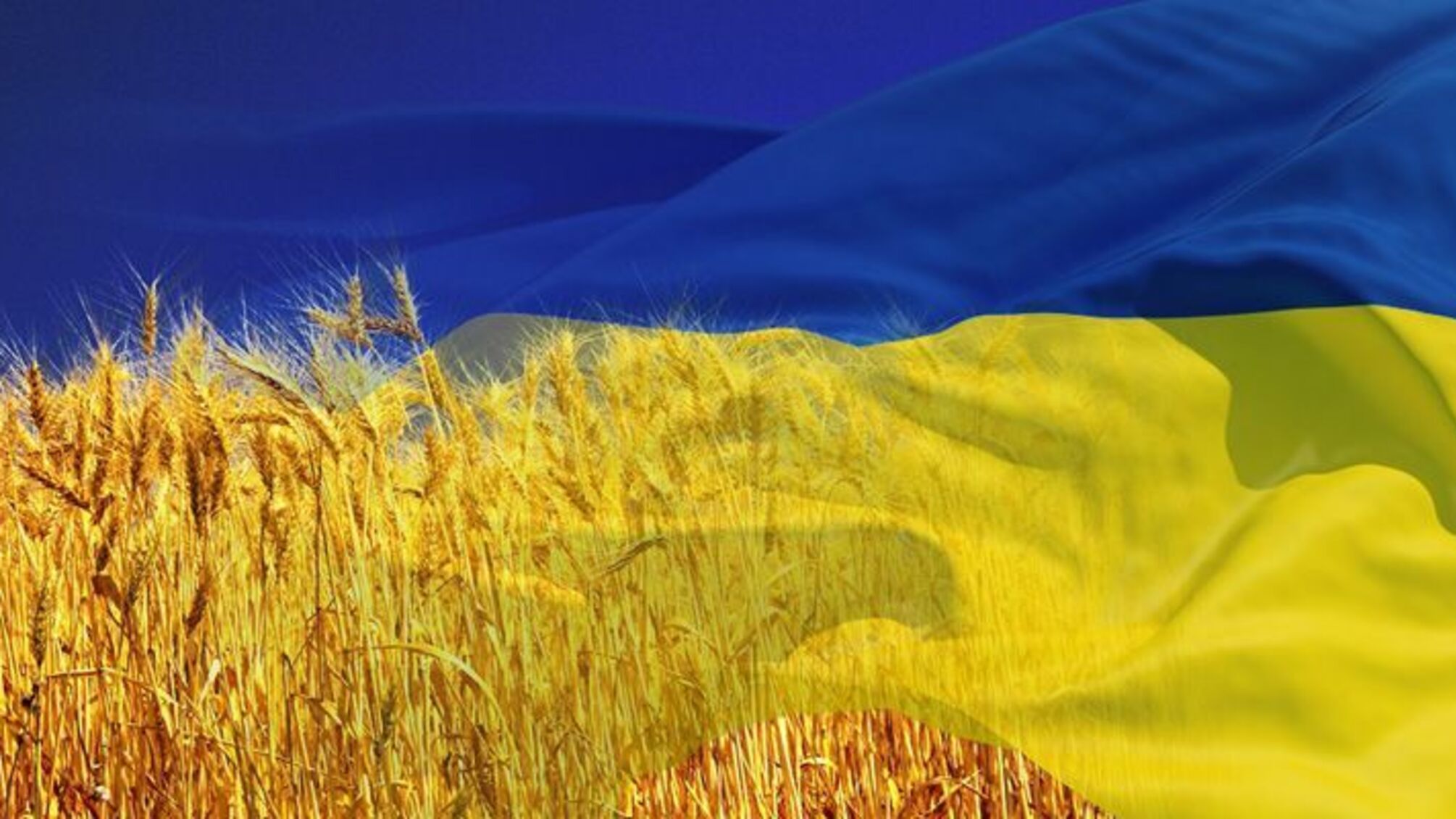 'Мова живе доти, доки нею говорять', – Порошенко привітав Україну з Днем української писемності та мови