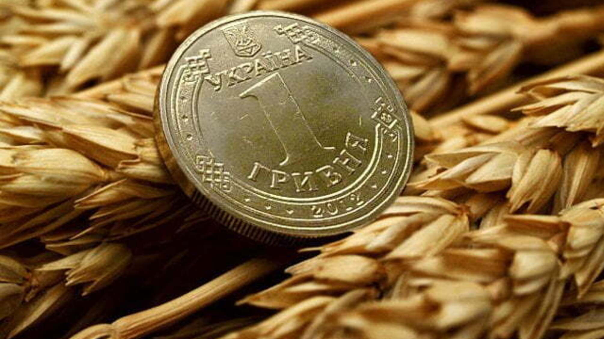 Екс-директора 'Луцького КХП' затримали за розкрадання зерна на понад 58 млн грн