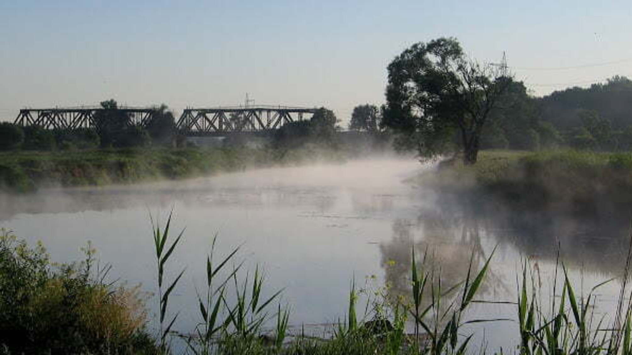 'СтопКор' взяв участь у засіданні Національної екологічної ради України, де обговорювали питання забруднення річки Ірпінь на Київщині