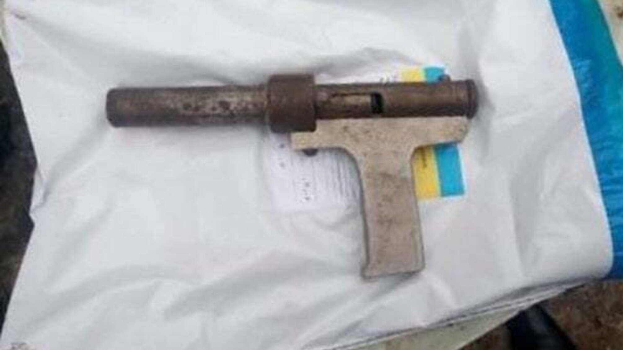 На Дніпропетровщині 10-річний хлопчик застрелив свою дворічну сестру