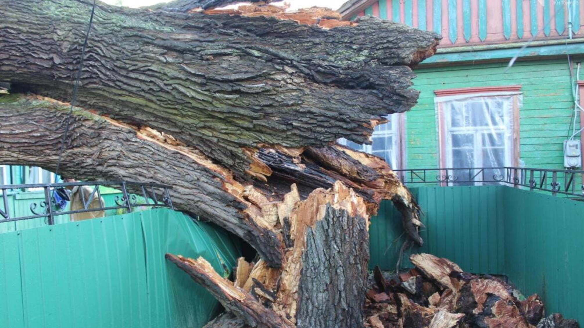 На Житомирщині за понад 80 тисяч гривень з міського бюджету звели паркан біля будинку керуючого справами виконкому Олевська