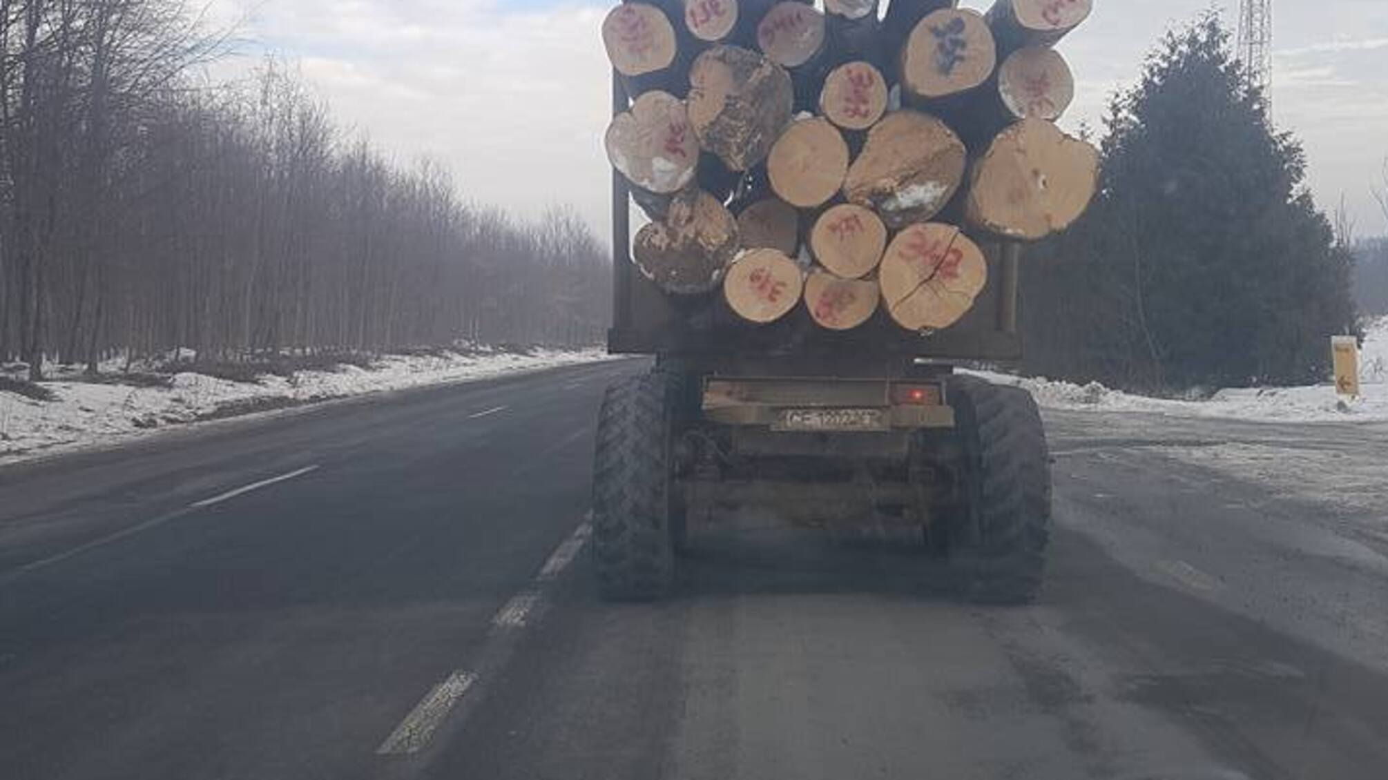 На Буковині злочинці намагалися викрасти арештований ліс
