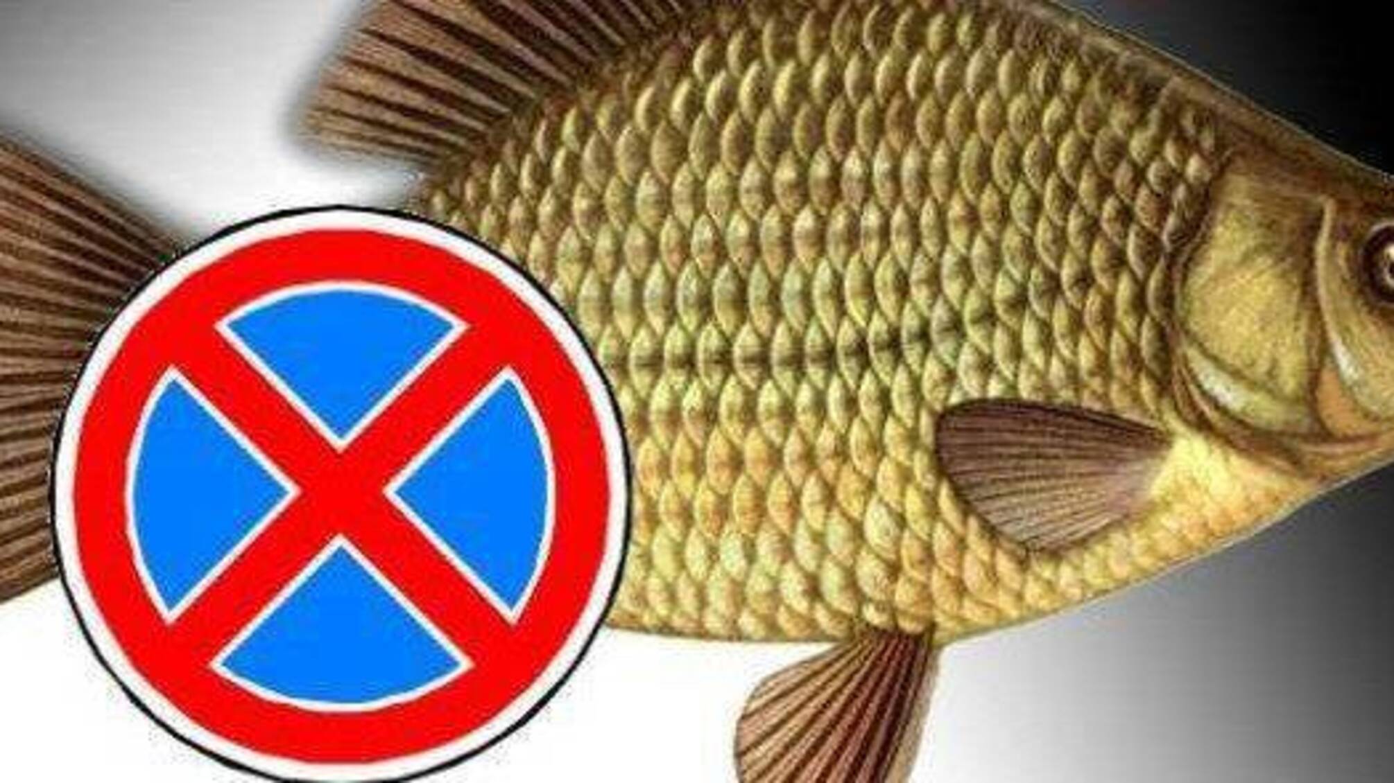 Активісти 'Стоп корупції' зафіксували нелегальний вилов риби на Сумщині