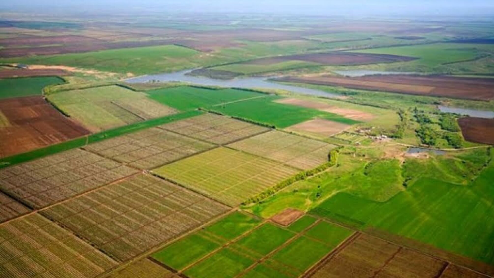 Компанію, яка незаконно відібрала земельні паї на Кіровоградщині, хочуть перепродати