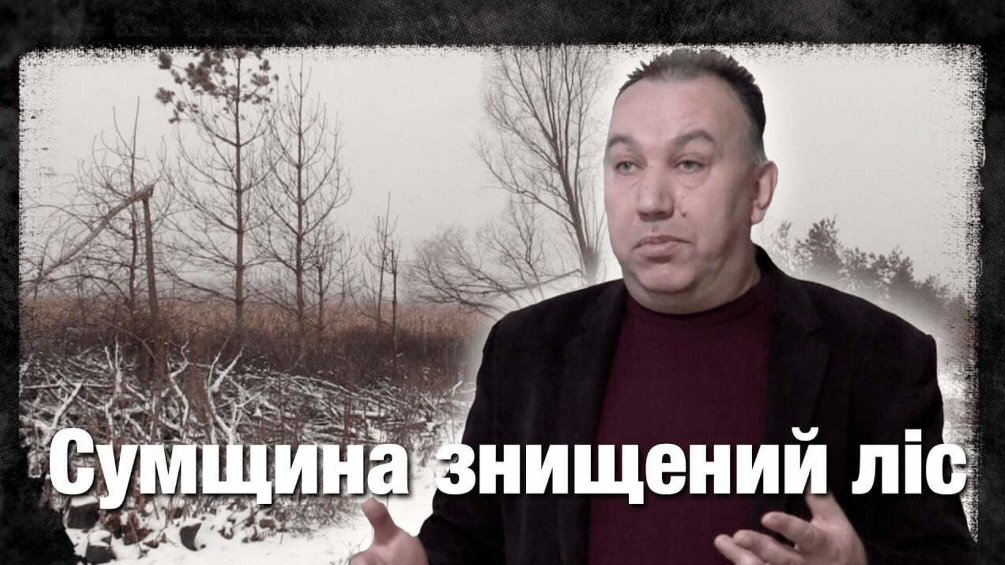Сумщина: знищений ліс | Розслідування 'Стоп Корупції'