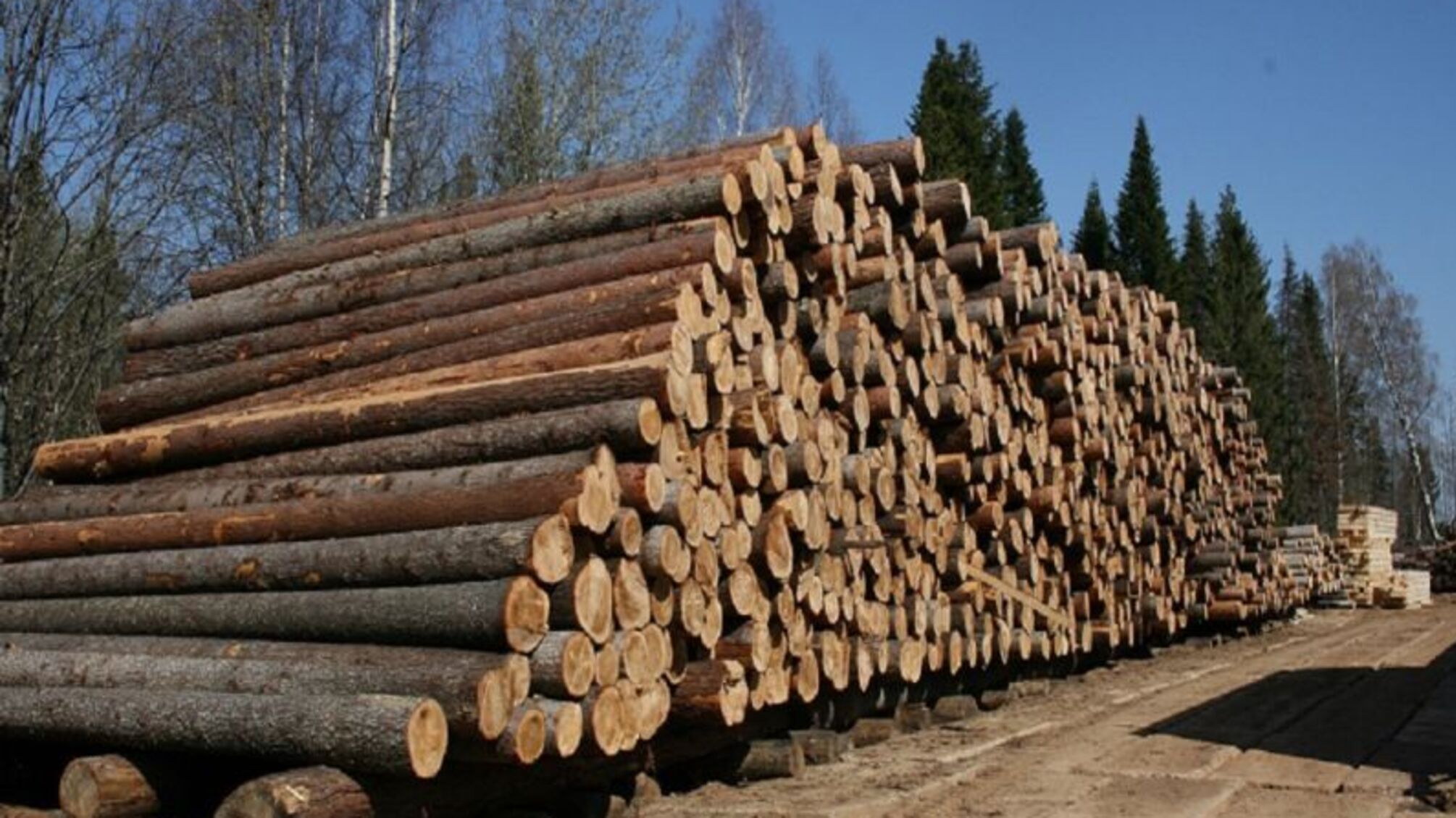 На Буковині місцеві жителі перекрили дорогу через розкрадання лісу