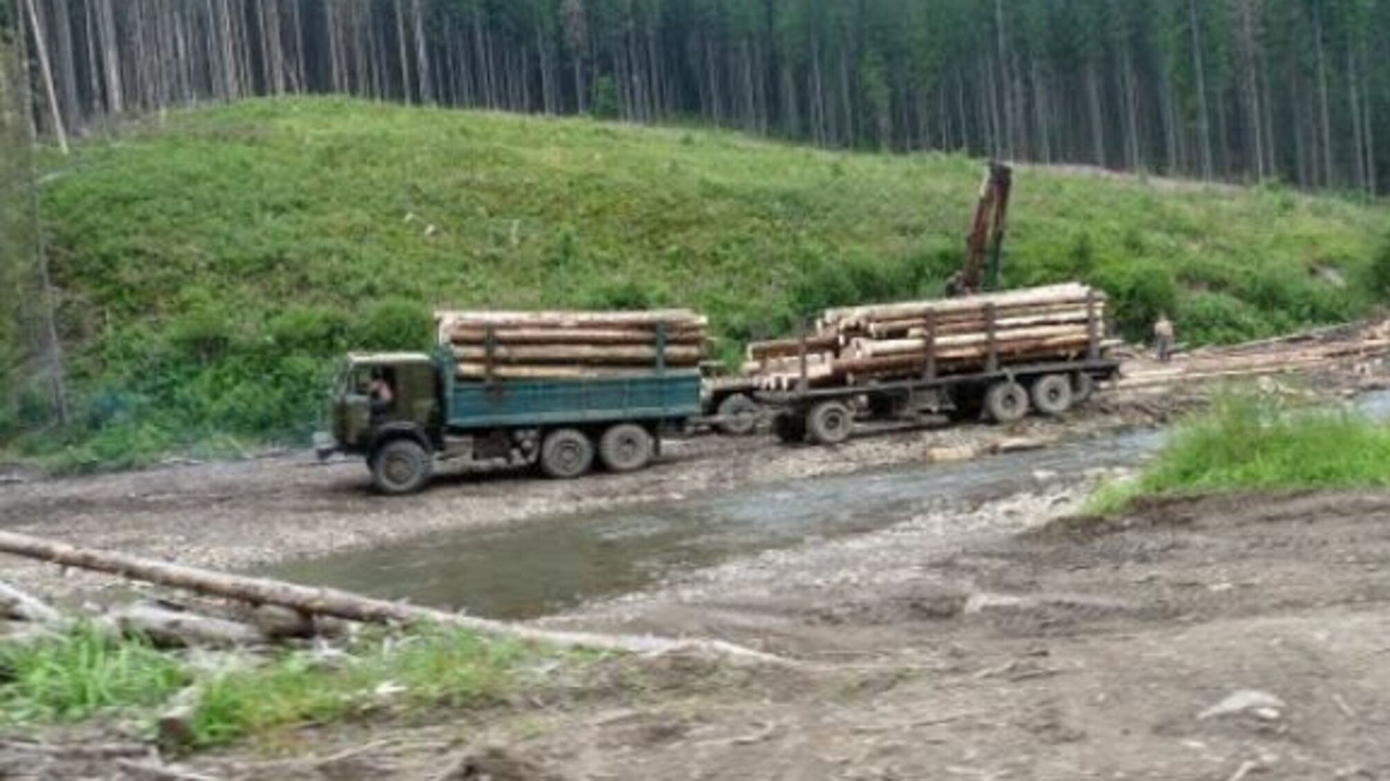 'СтопКор' розкритикував імовірного голову Хмельницького обласного управління лісового та мисливського господарства
