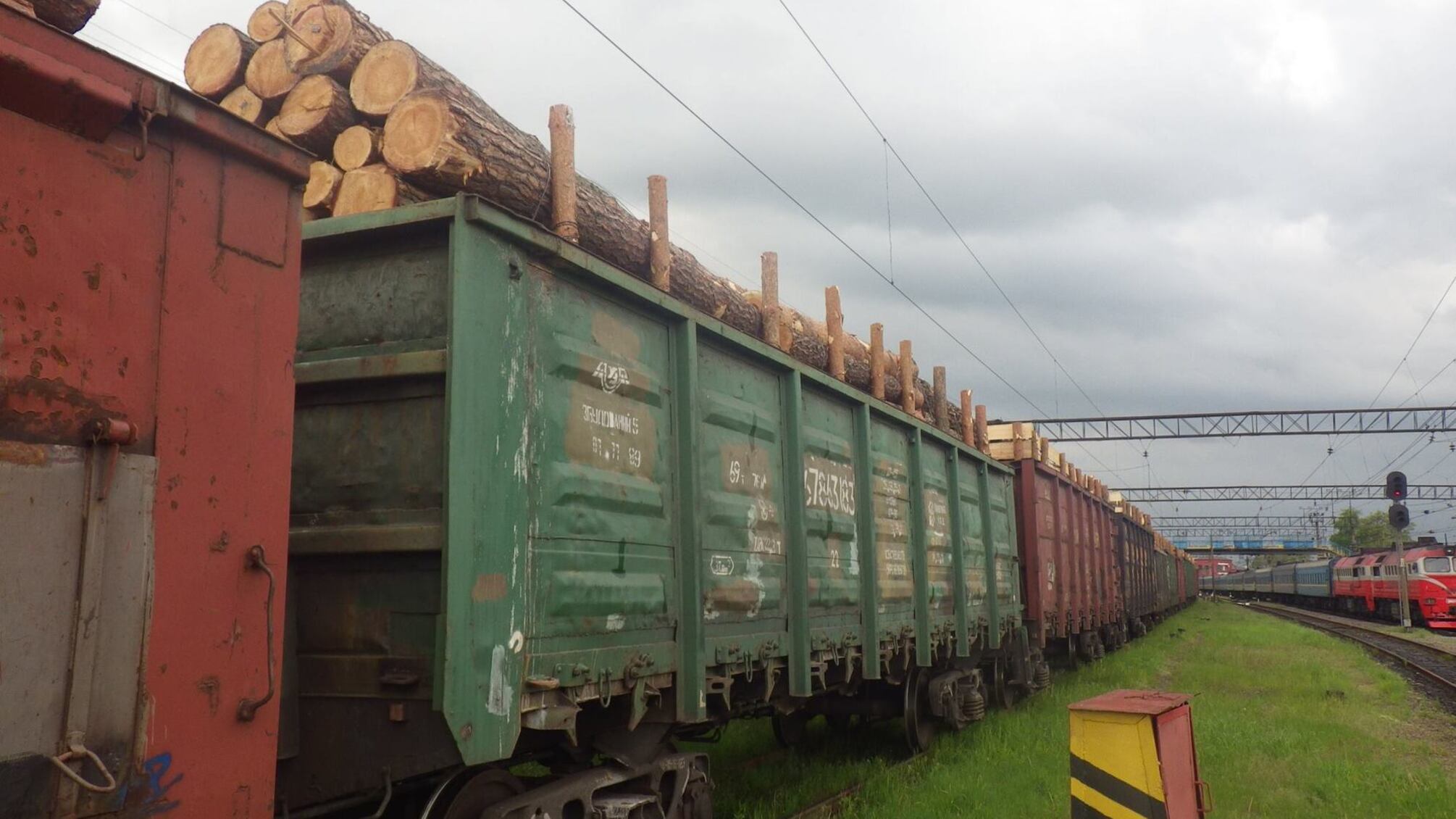 'СтопКор' з'ясував, як на Буковині контрабандисти перевозять крадений ліс пасажирськими вагонами