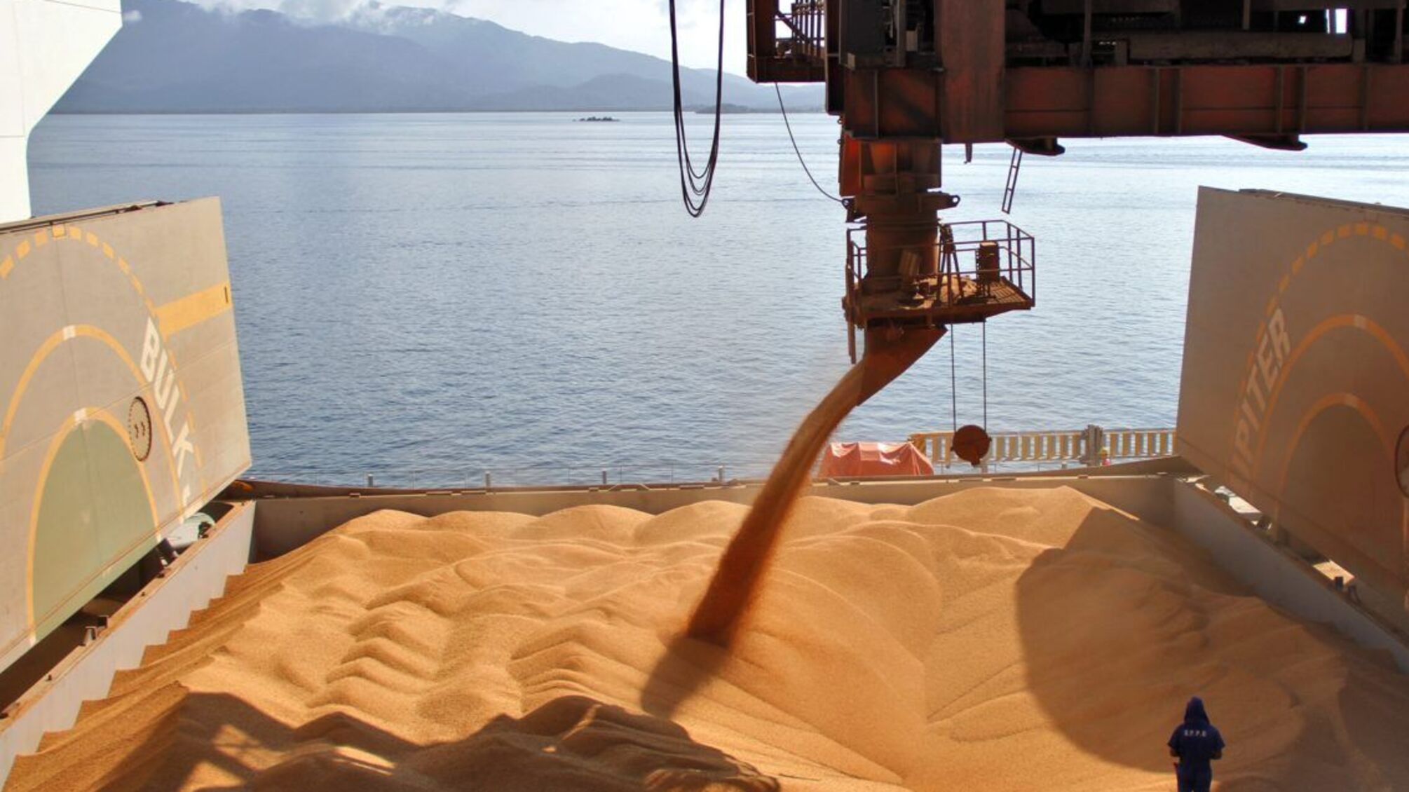 Від експорту пшениці Україна отримала 691 мільйон доларів