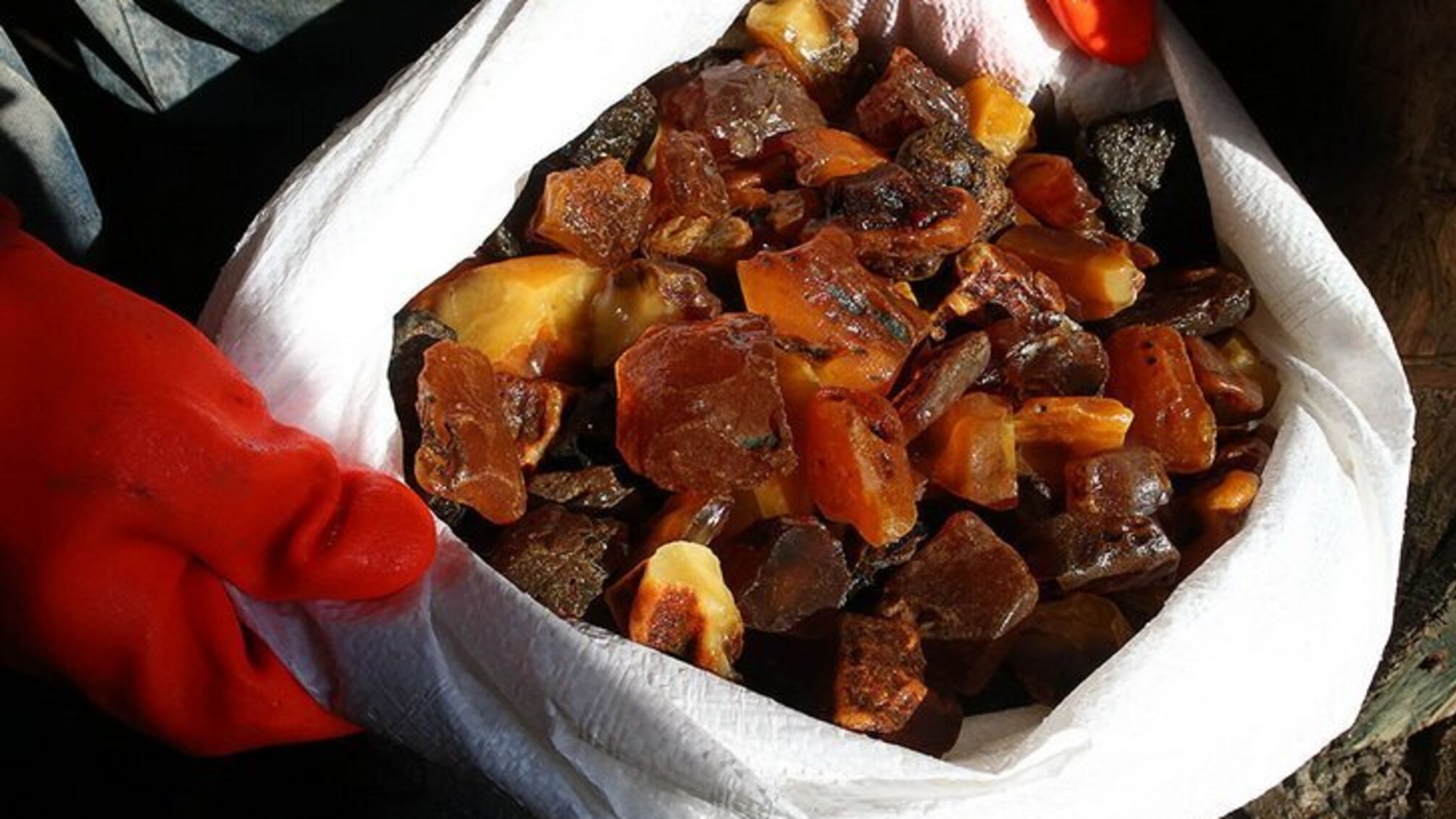 У справі незаконного видобутку бурштину затримано шестеро осіб