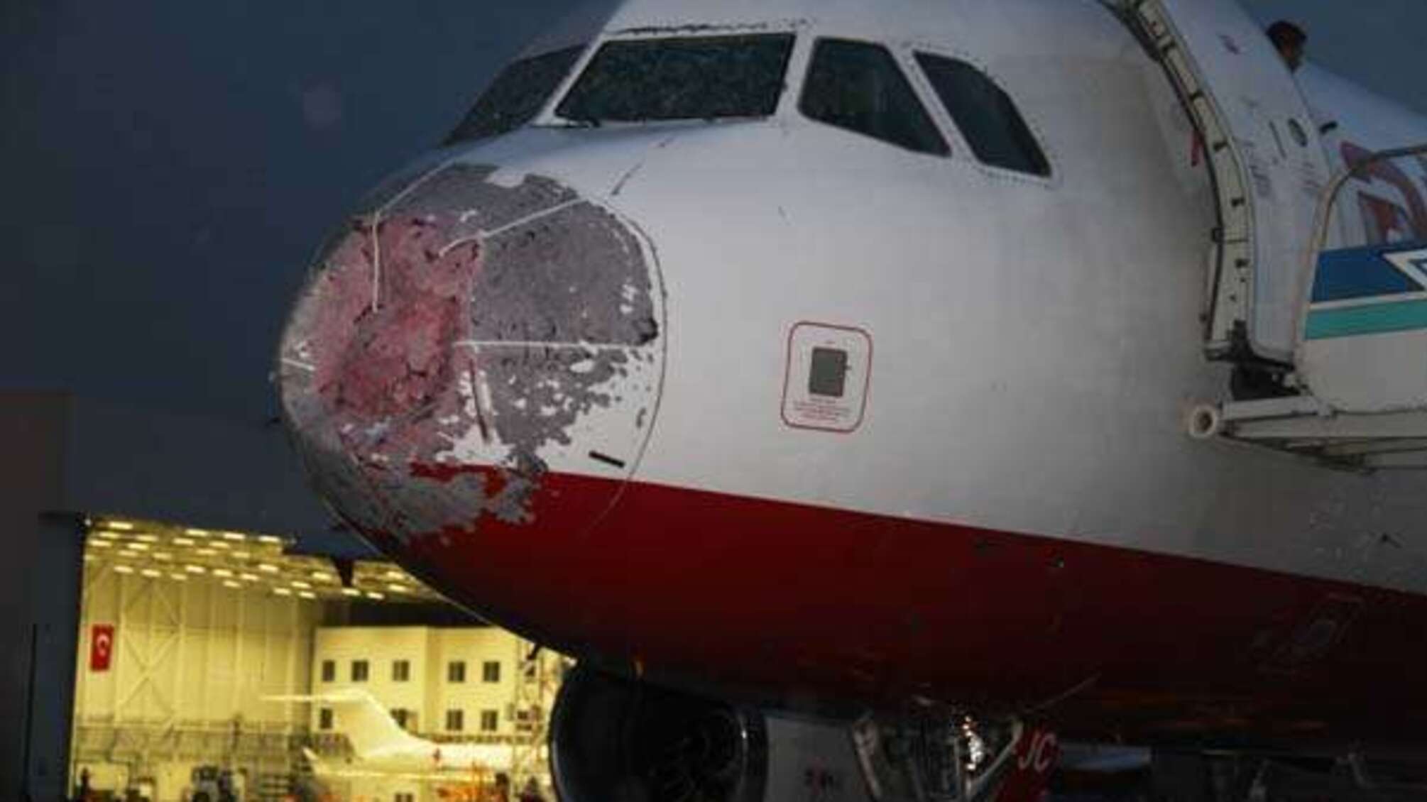 Пілоту-рятівнику літака в Стамбулі дали державну нагороду