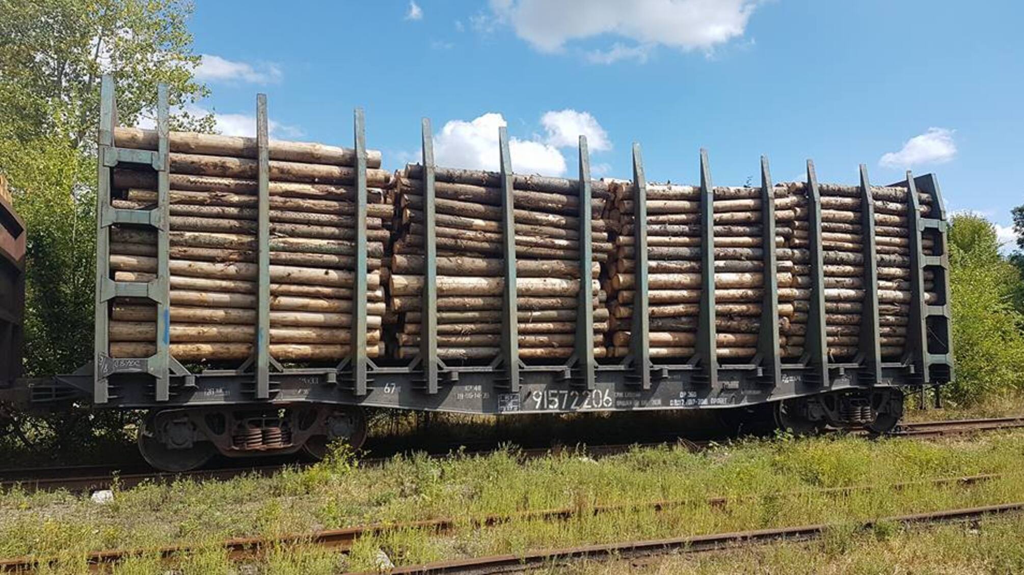 'СтопКор' зупинив контрабанду лісу на кордоні з Румунією