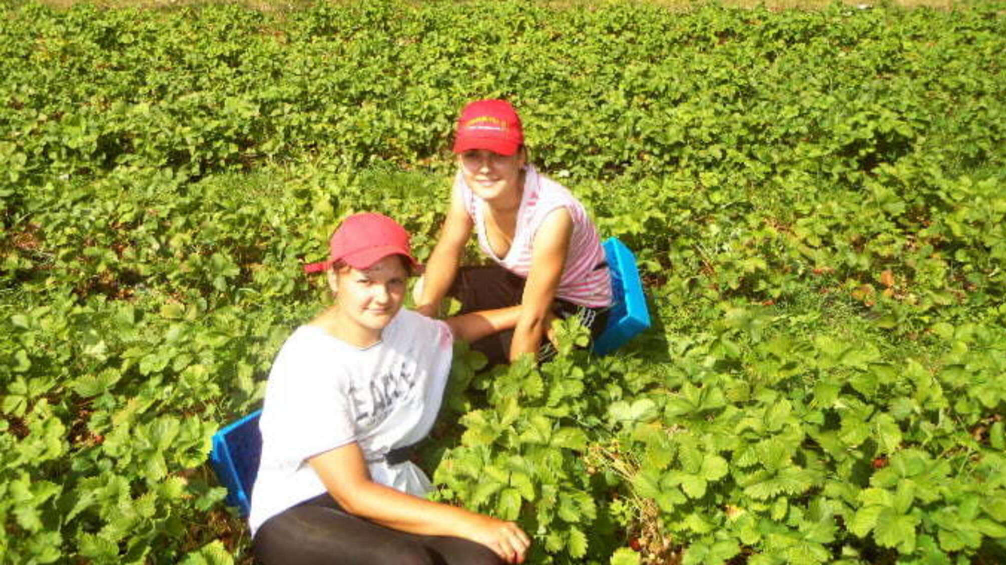 З Польщі депортують два десятки українців