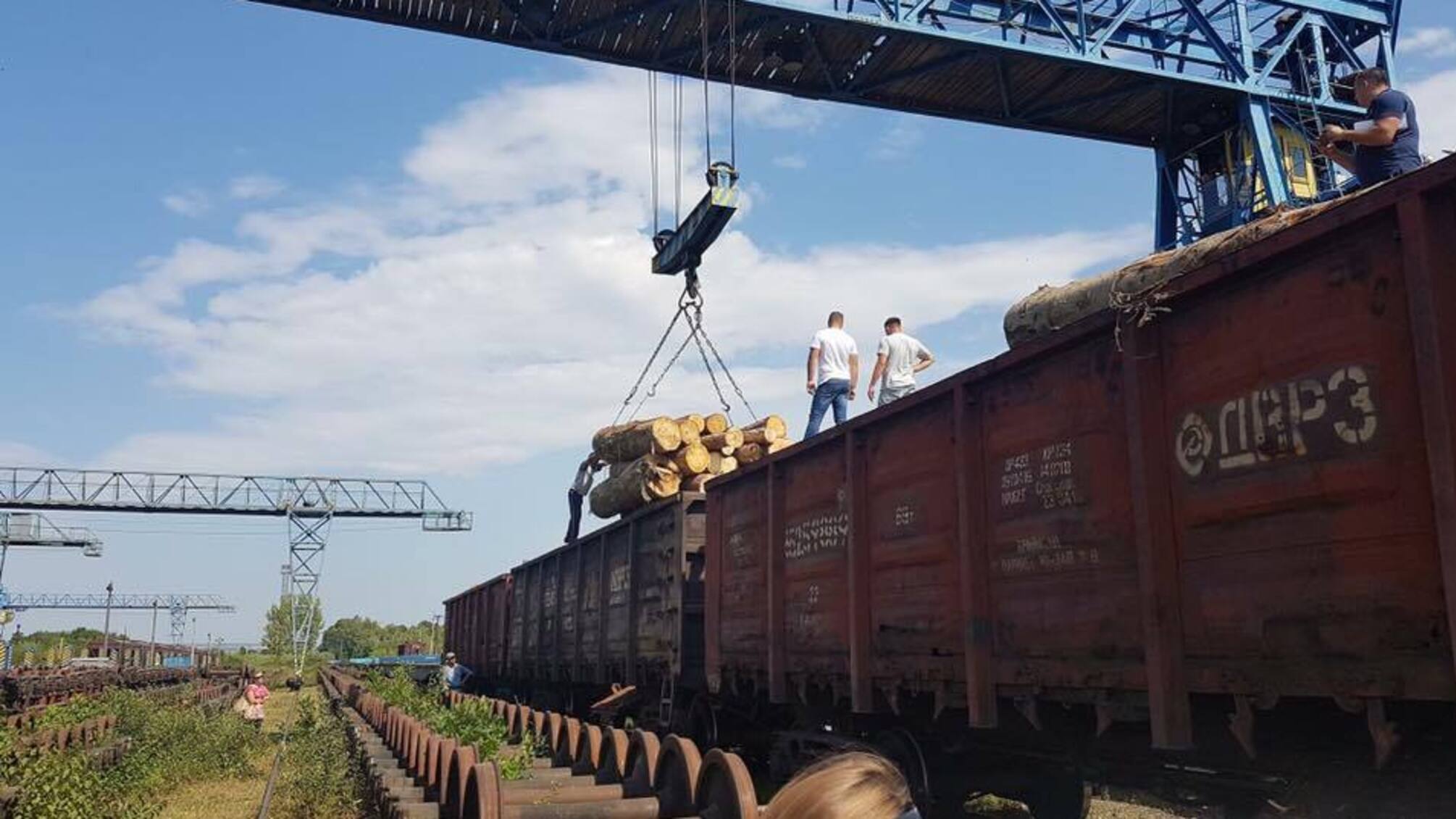 На Буковині український кругляк намагалися вивезти за кордон як німецький ліс