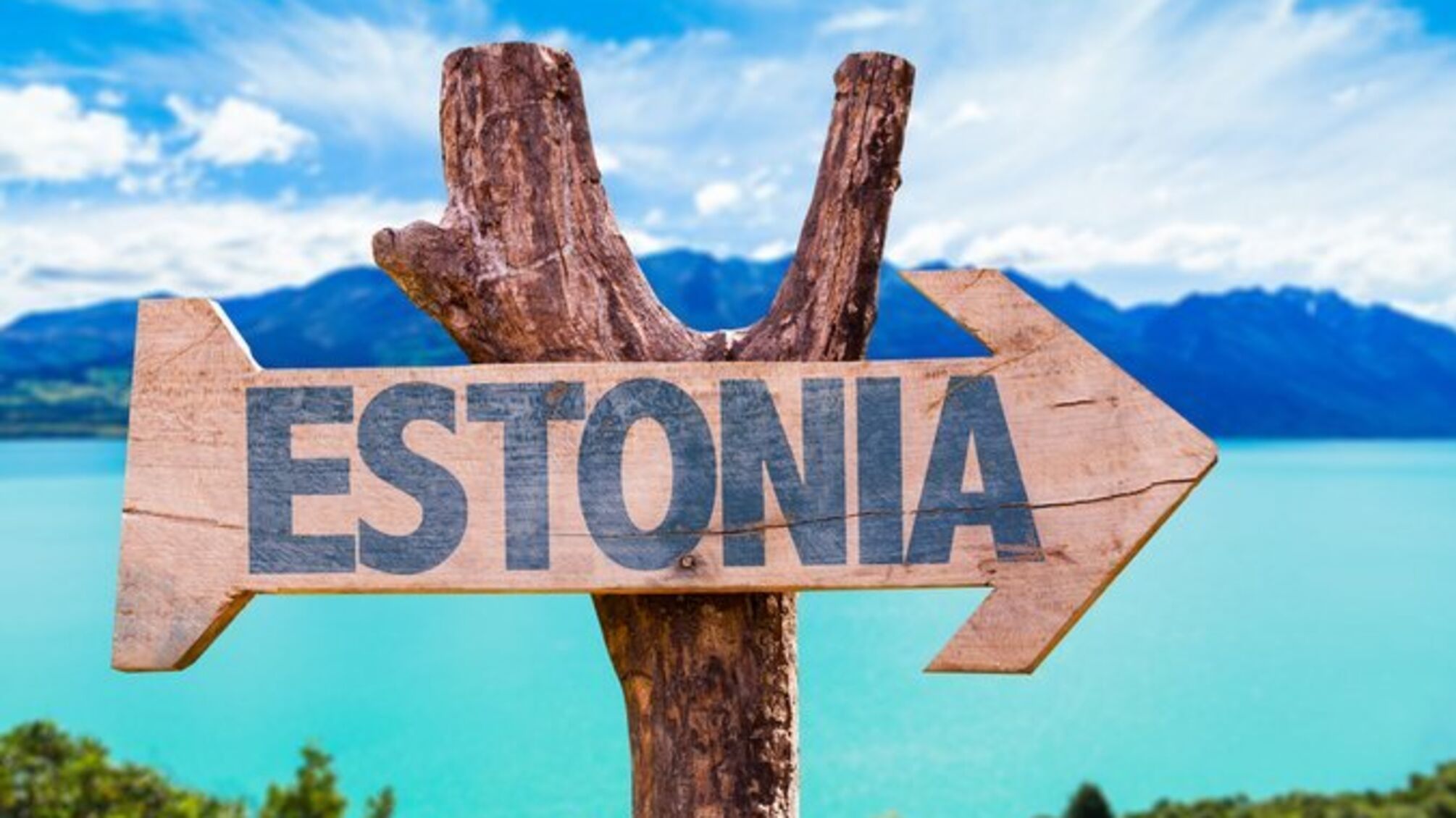 Прем'єр-міністр Естонії закликав Україну 'терміново виправити політичну помилку'