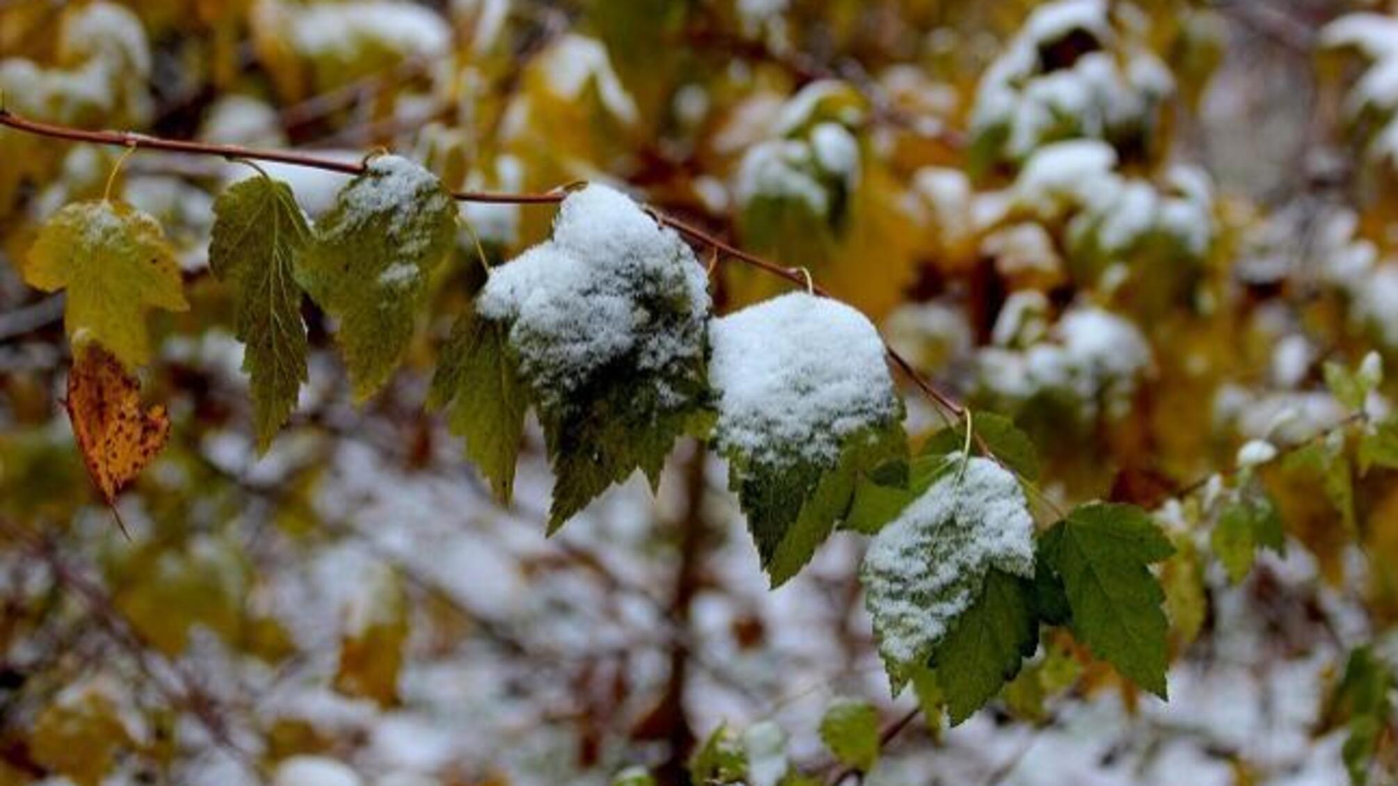В Україну йде перший сніг і похолодання: синоптики розповіли, які області 'засипле' першими