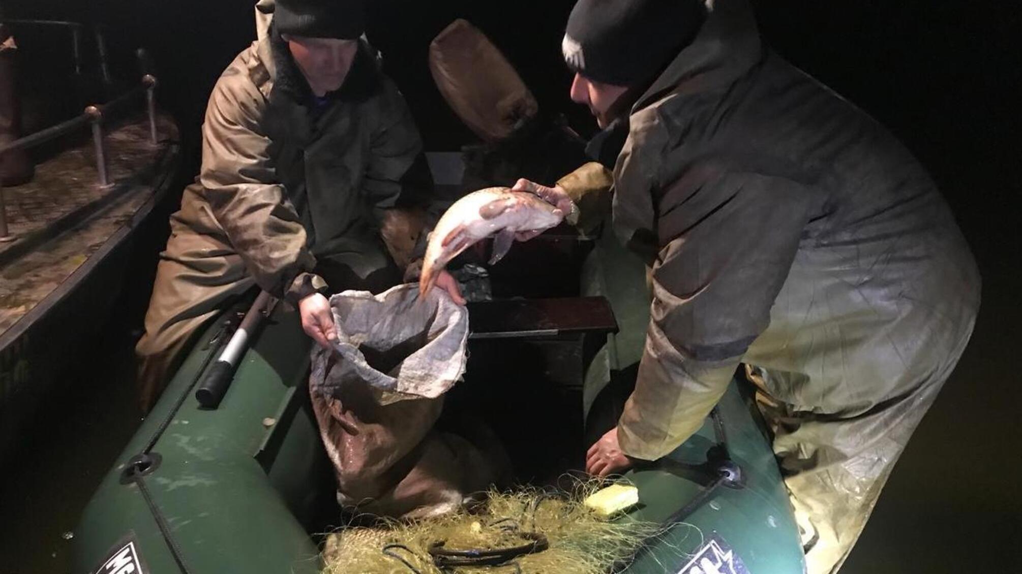 Понад 5 мільярдів гривень на рік – скільки грошей втрачають українці через рибних браконьєрів