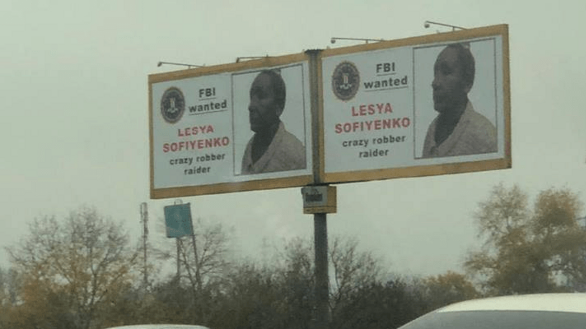 Софієнко зацікавилась американська розвідка? Поплічницю Януковича розшукує FBI