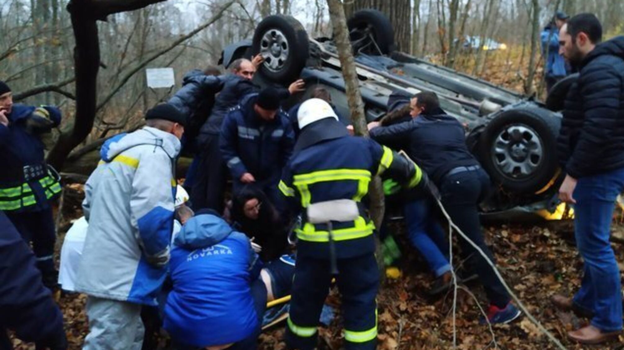 На Київщині причиною ДТП став величезний лось. Троє людей госпіталізовані (ФОТО)